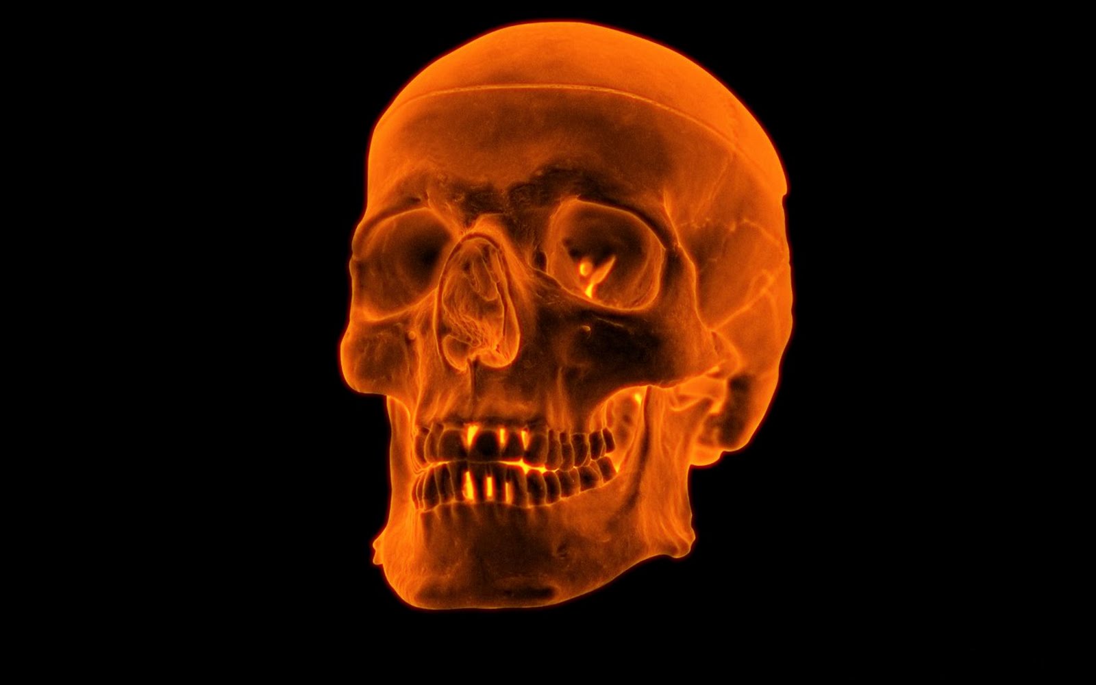 Orange Skull Wallpapers