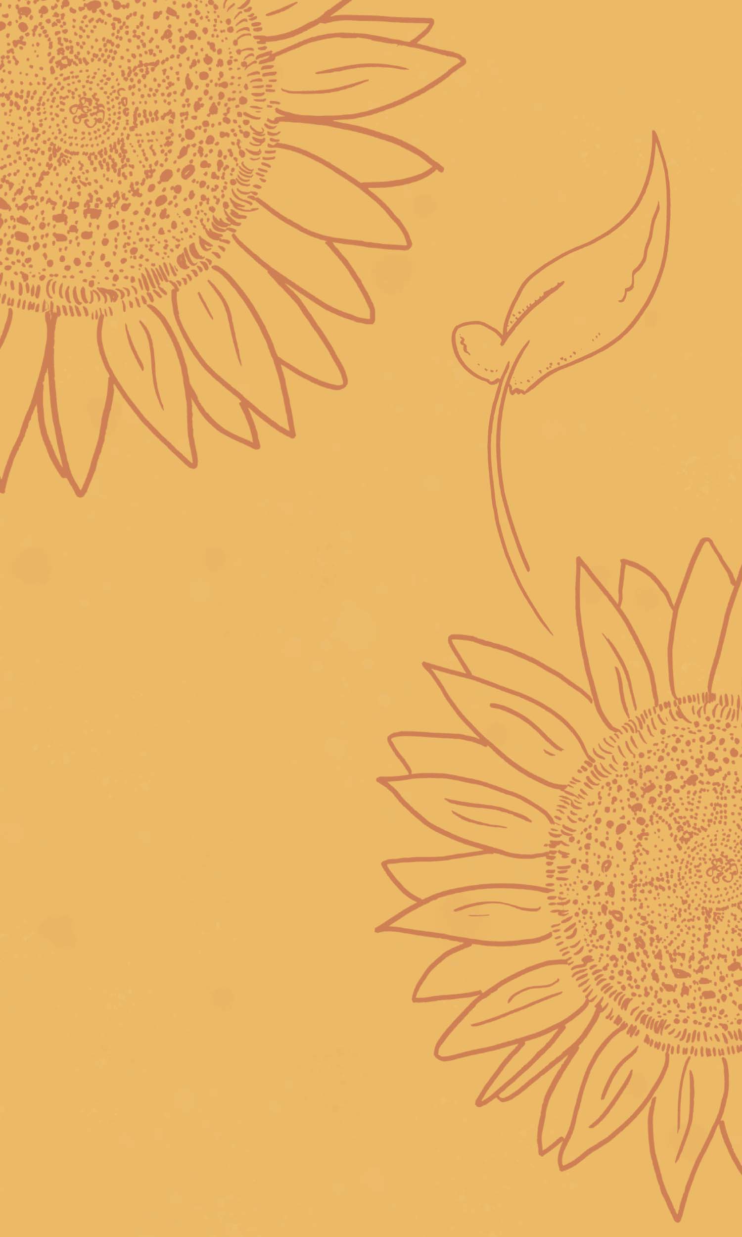 Orange Sunflower Wallpapers