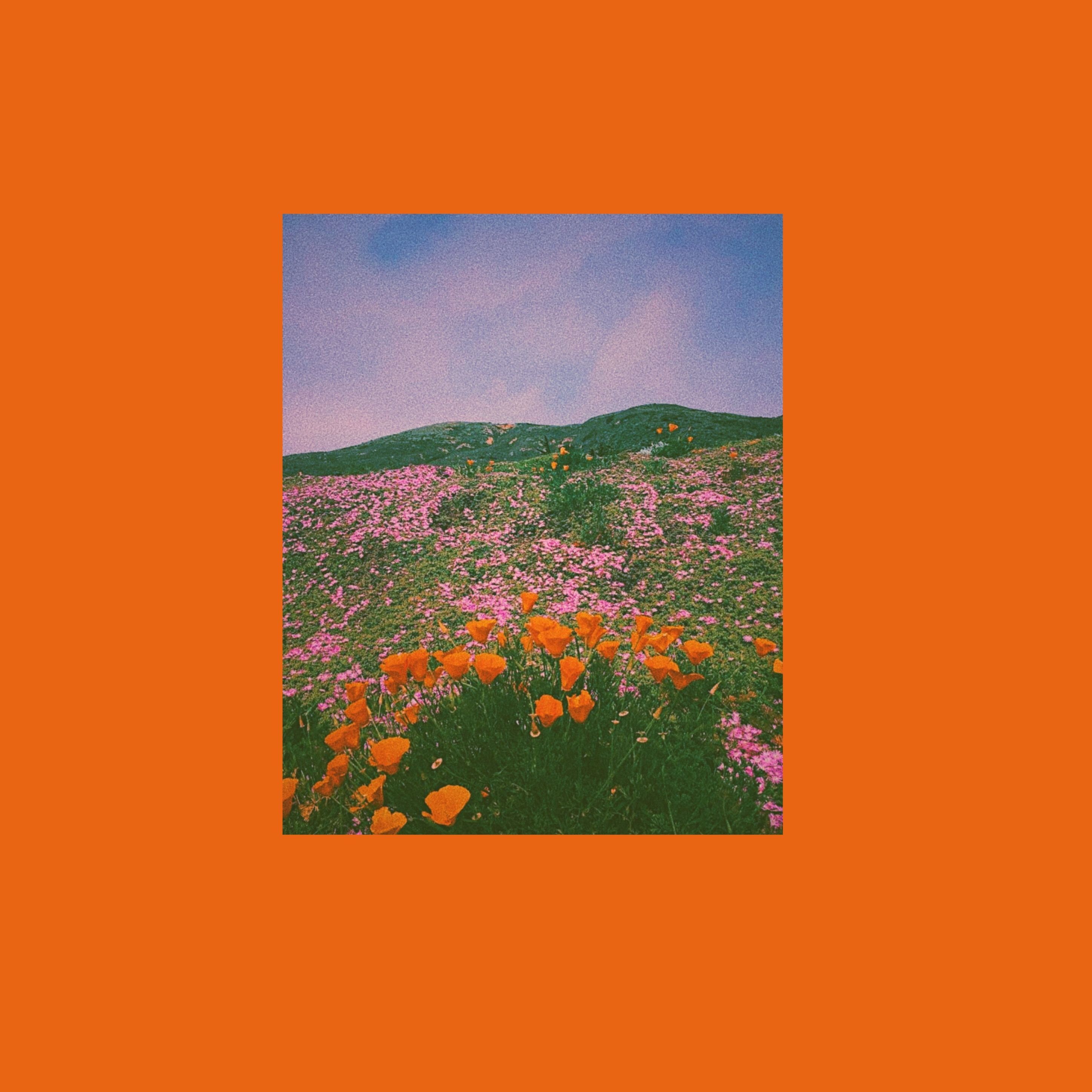 Orange Tumblr Aesthetic Wallpapers