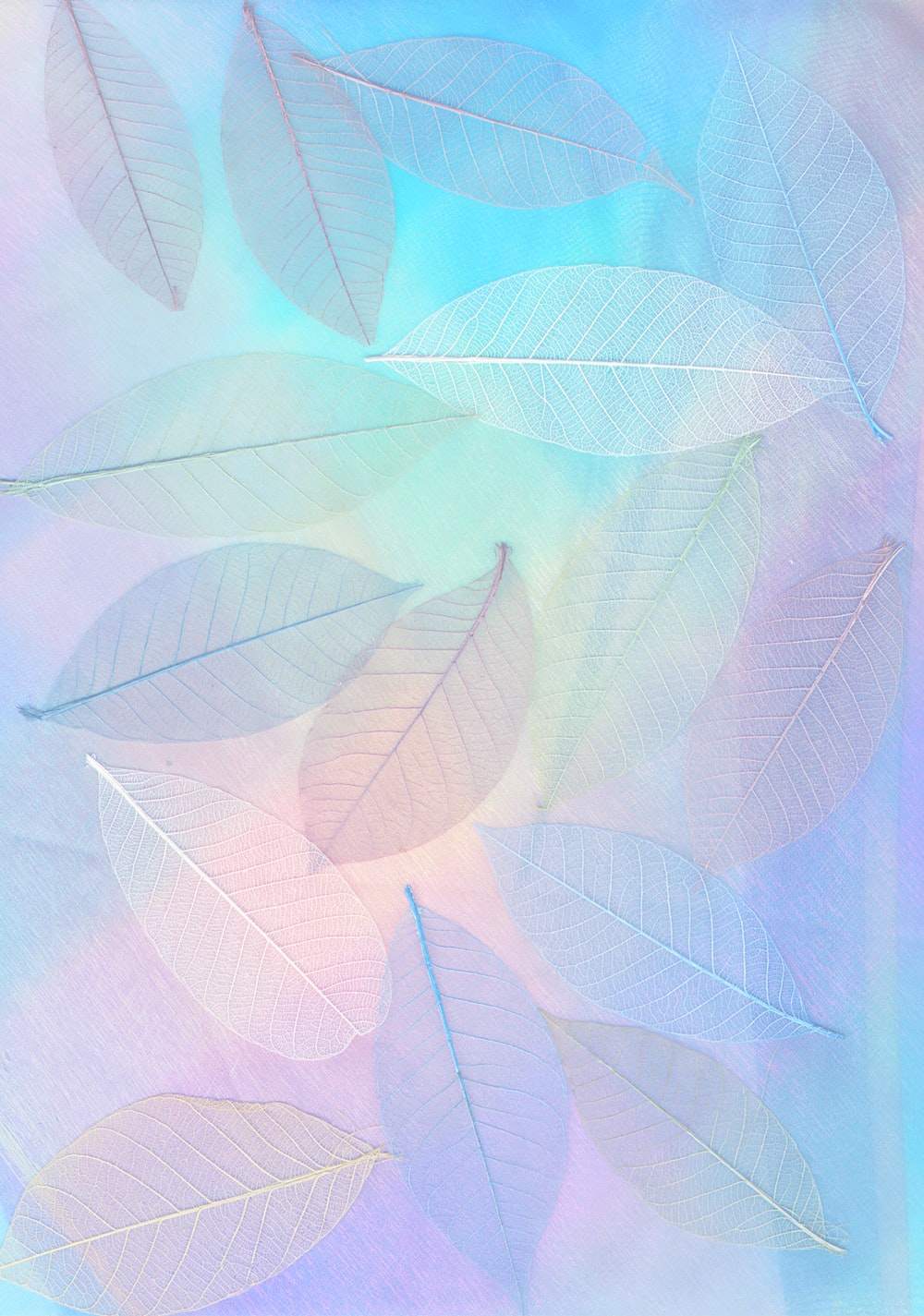 Pastel Wallpapers