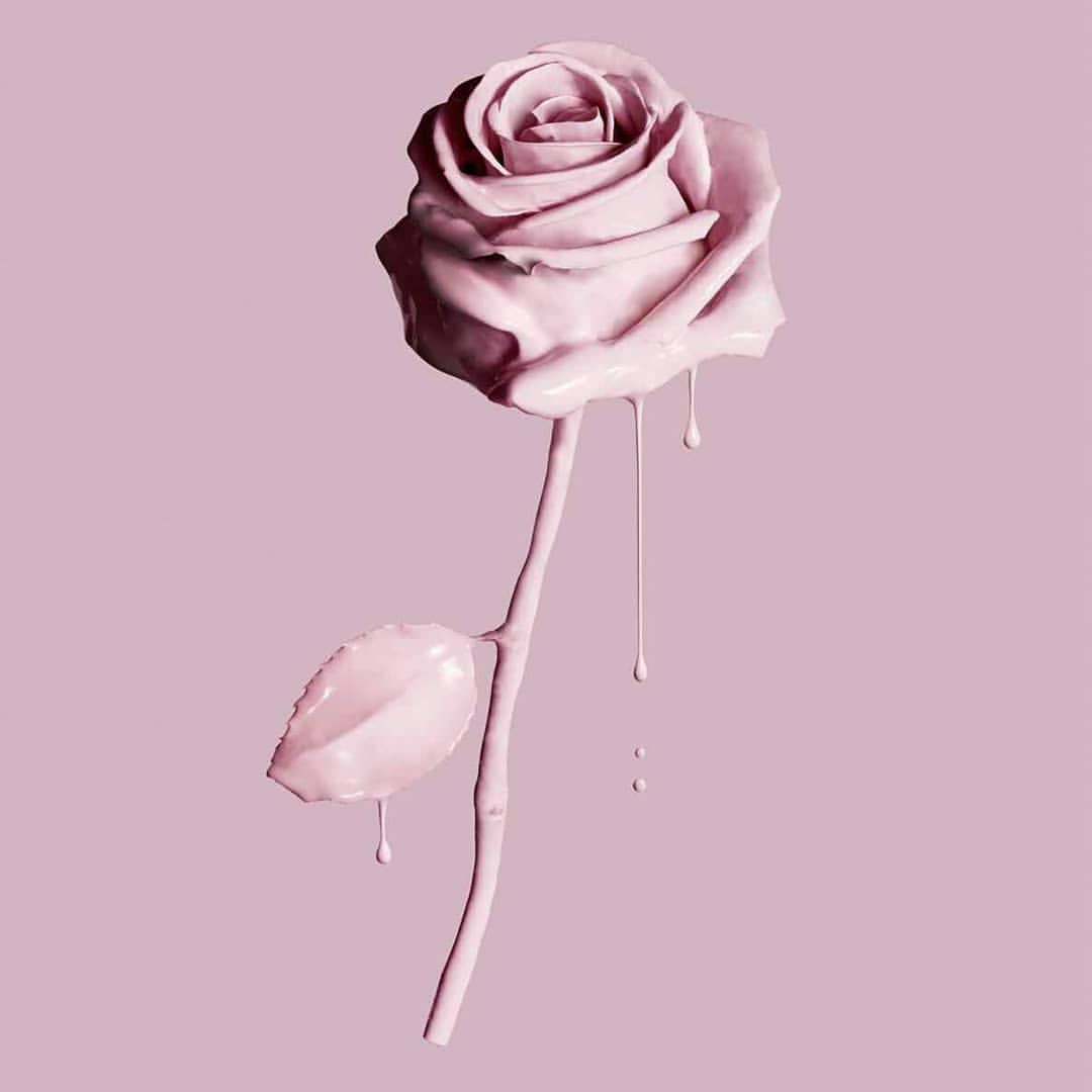 Pastel Aesthetic Rose Wallpapers
