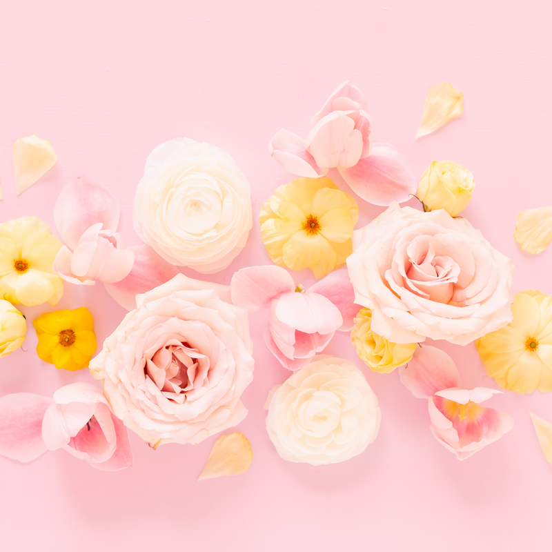 Pastel Floral Wallpapers