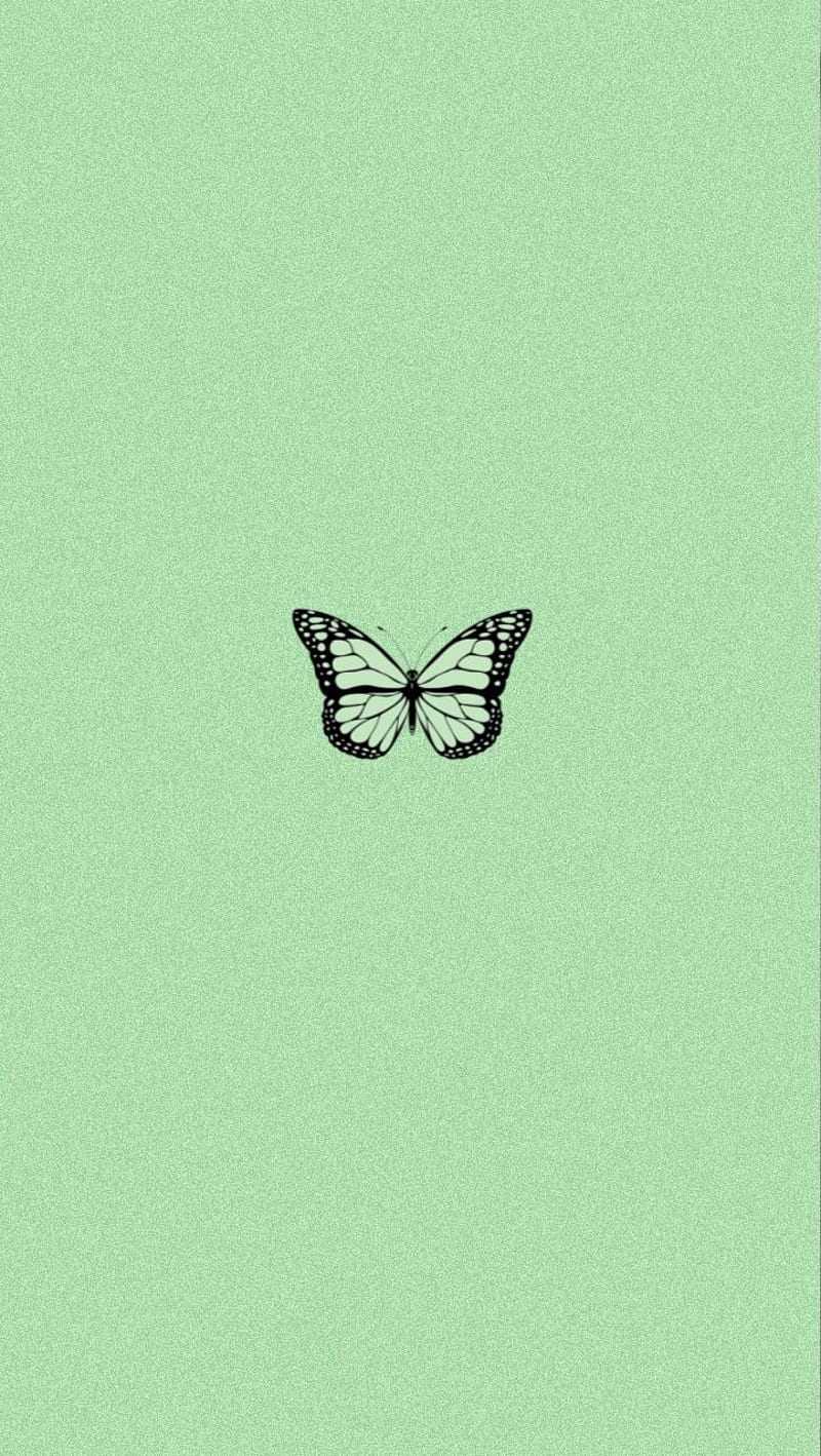 Pastel Green Wallpapers