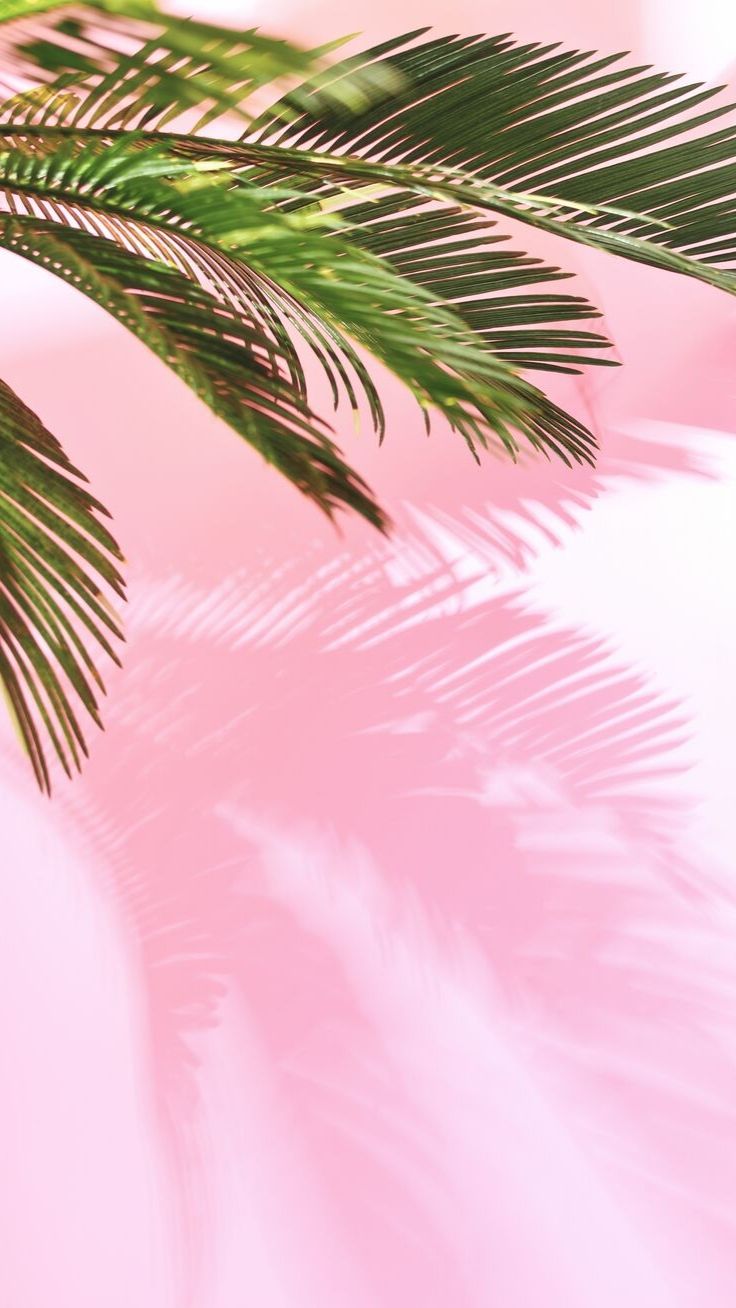 Pastel Iphone 11 Wallpapers