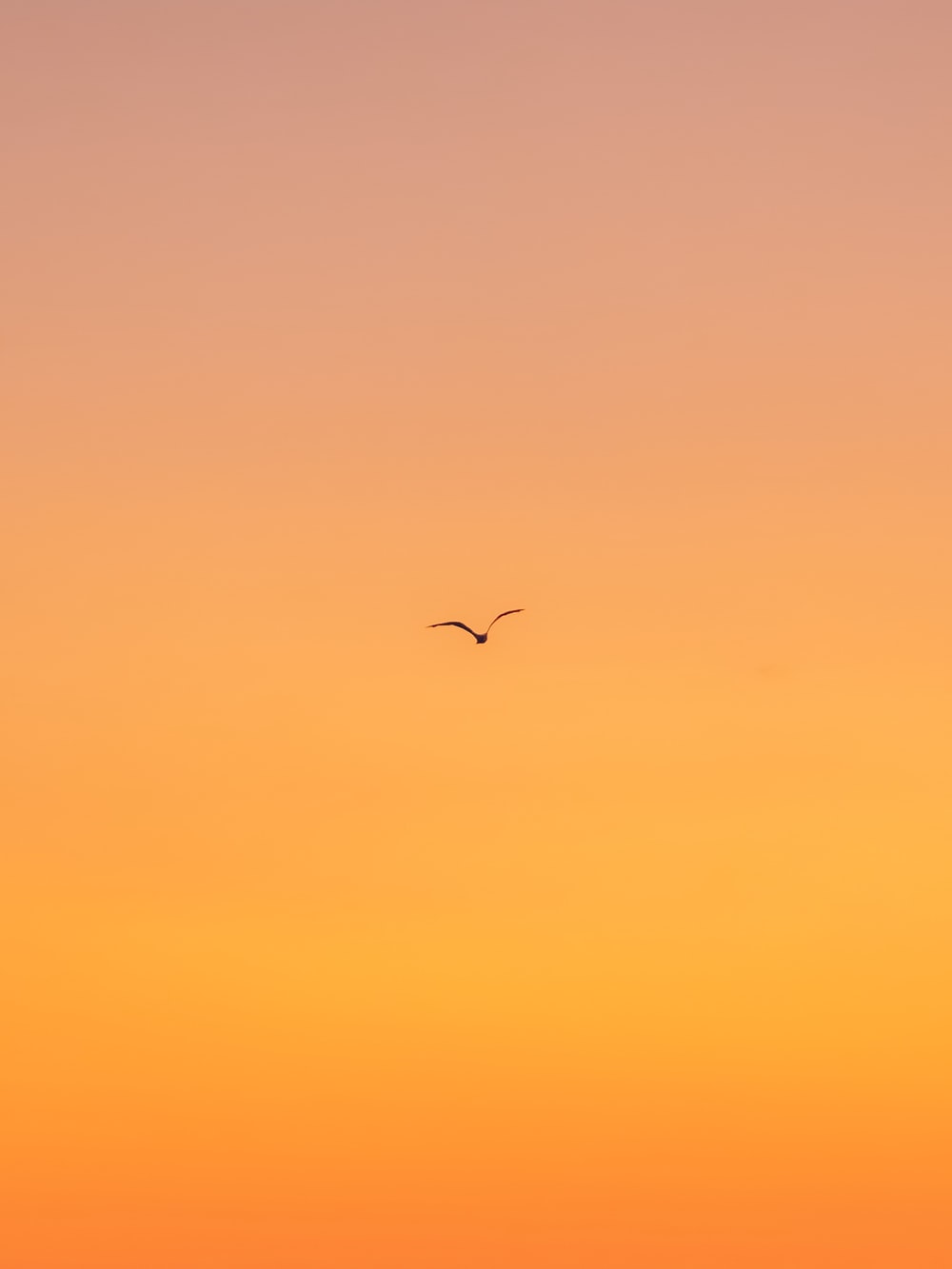 Pastel Orange Wallpapers