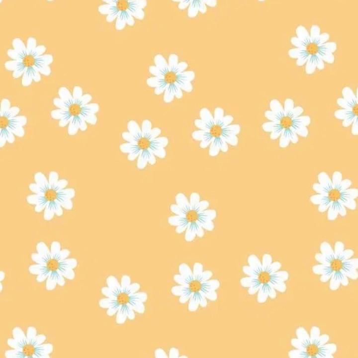 Pastel Orange Aesthetic Wallpapers