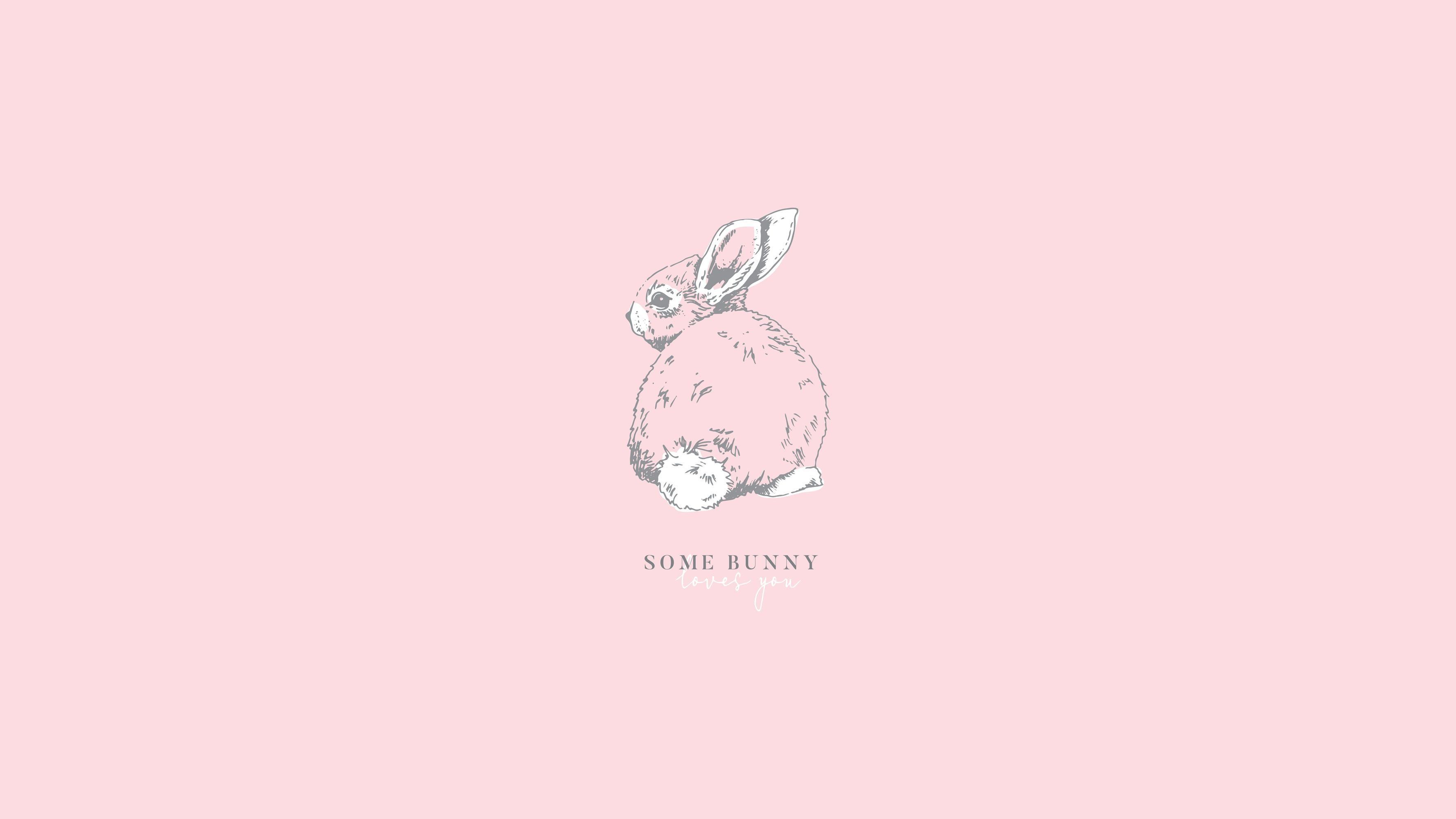 Pastel Peach Aesthetic Wallpapers