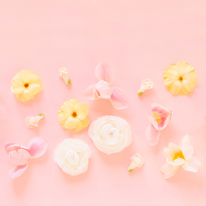 Pastel Pink Desktop Wallpapers