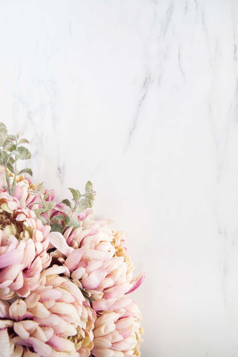 Pastel Pink Floral Wallpapers