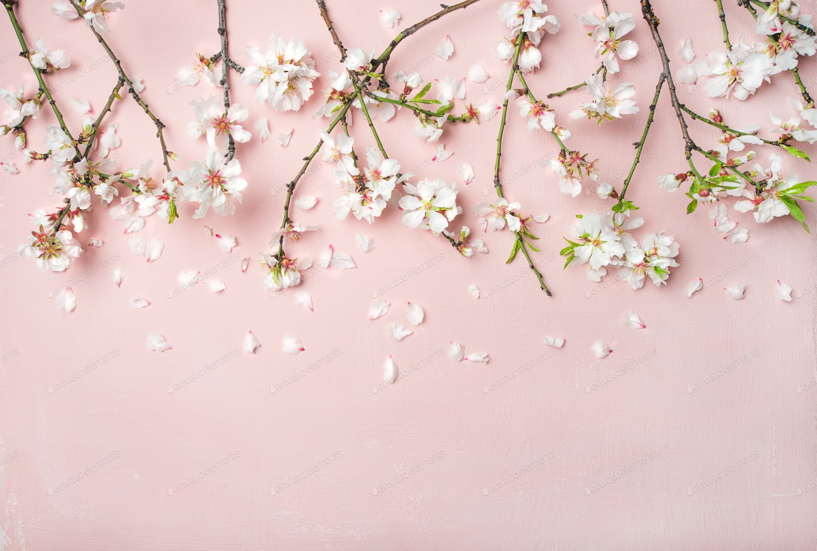 Pastel Pink Flower Wallpapers