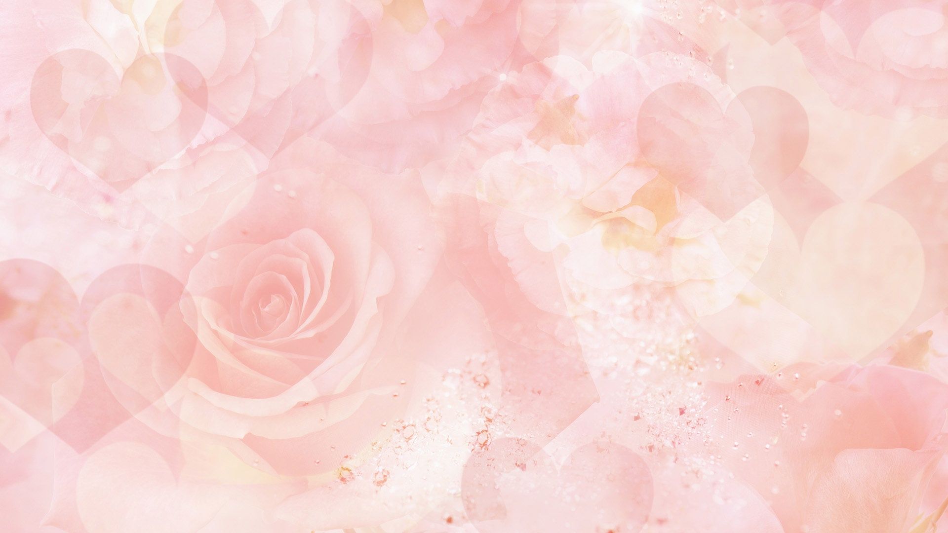 Pastel Pink Flower Desktop Wallpapers