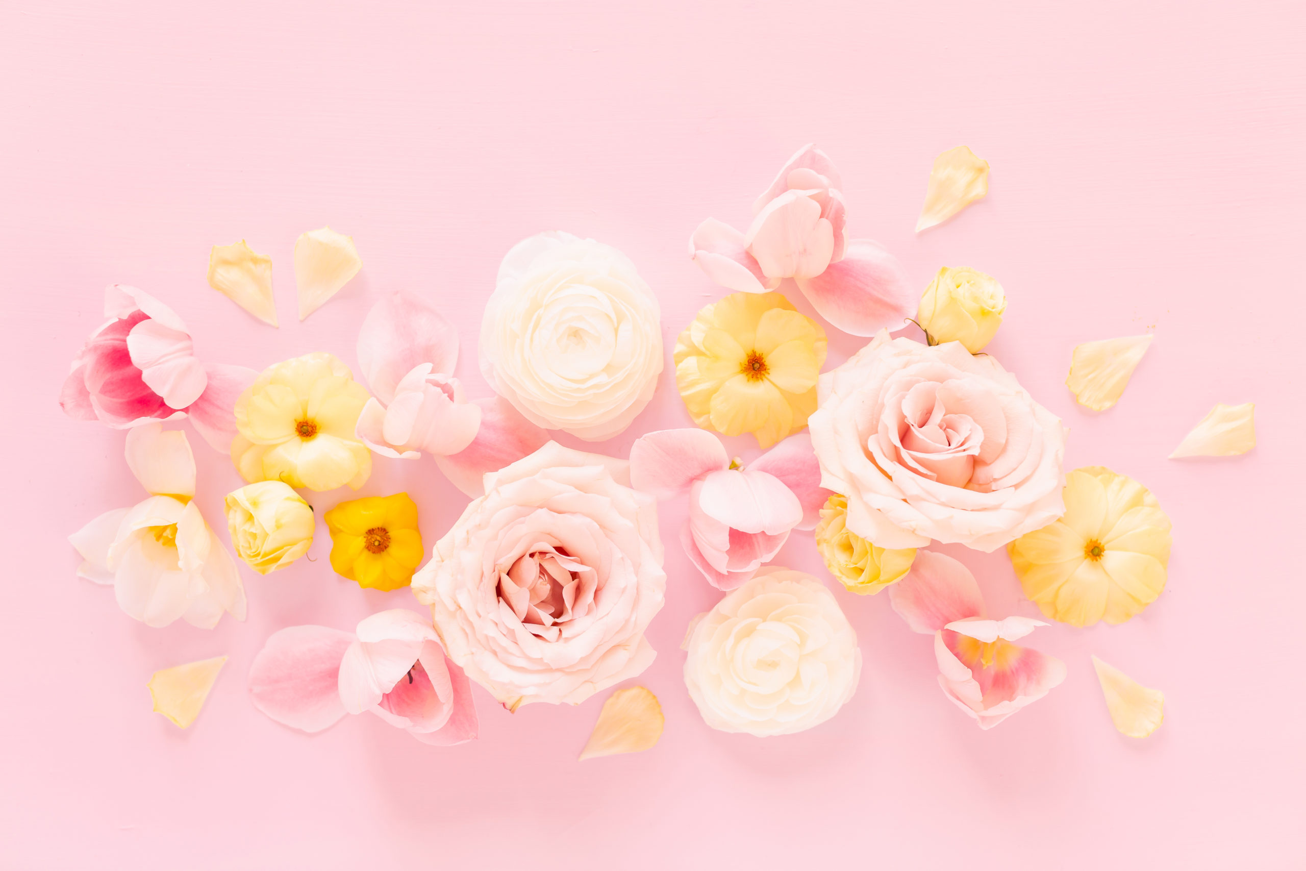 Pastel Pink Flower Desktop Wallpapers