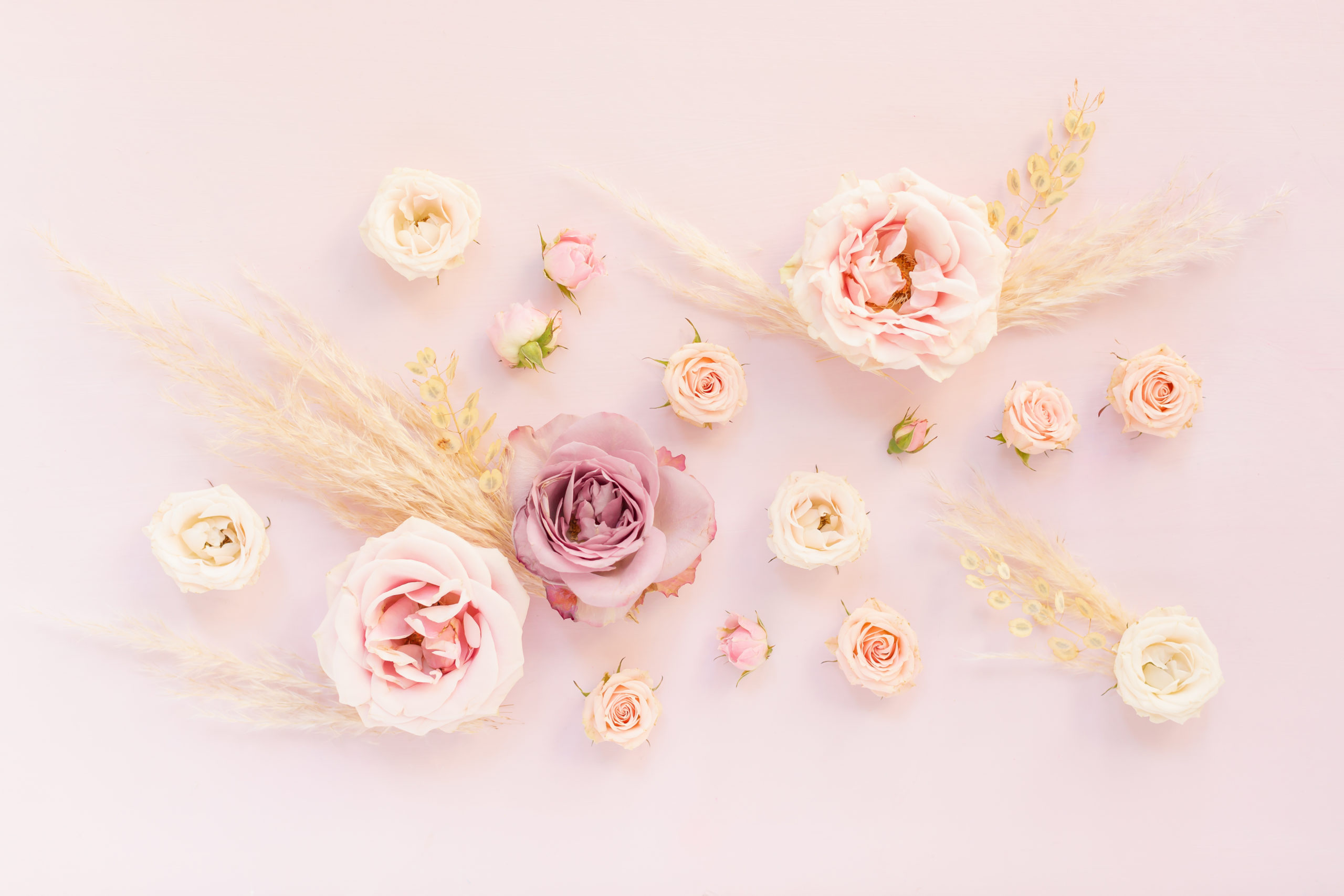 Pastel Pink Flower Desktop Wallpapers