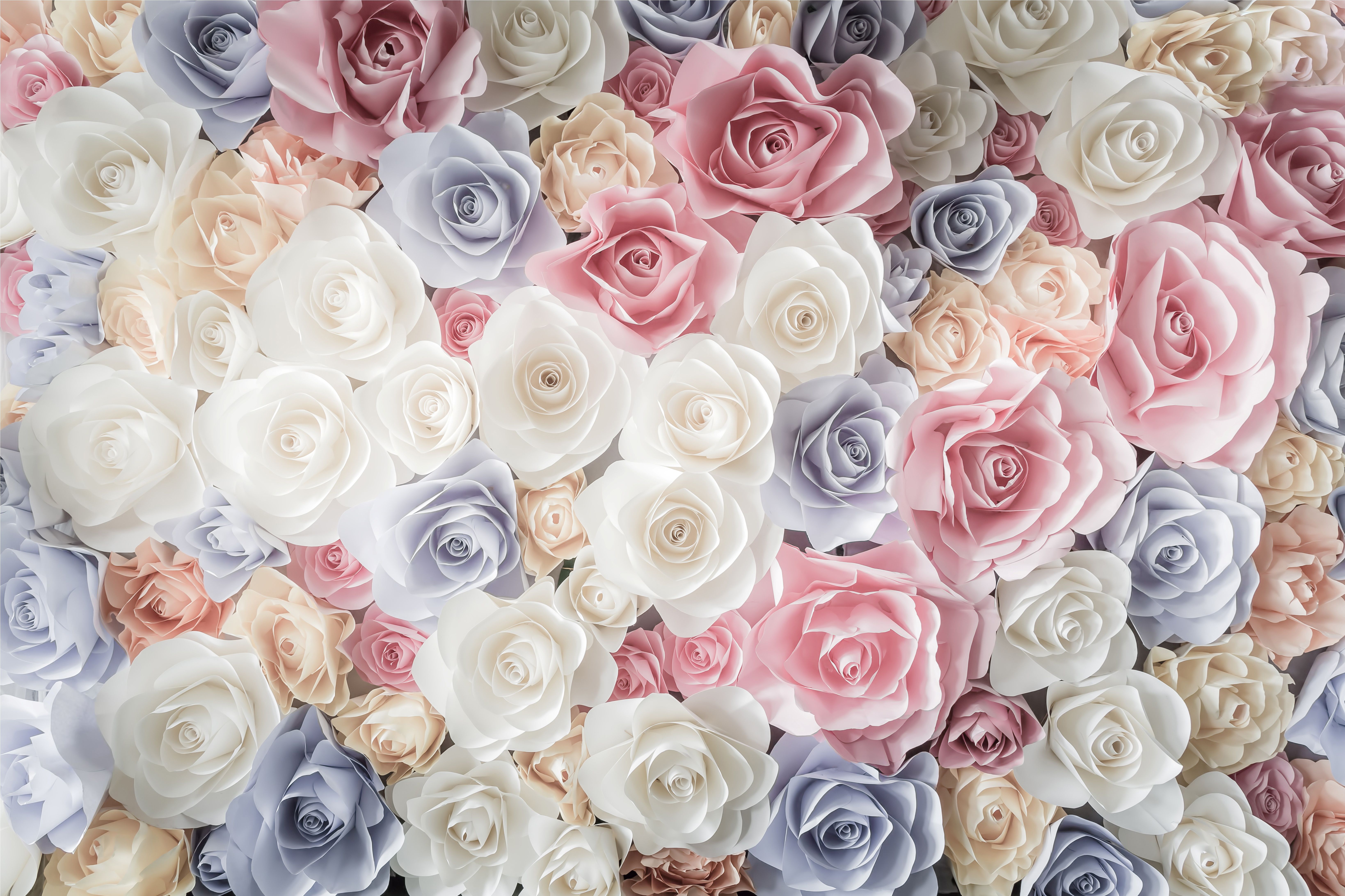 Pastel Roses Wallpapers