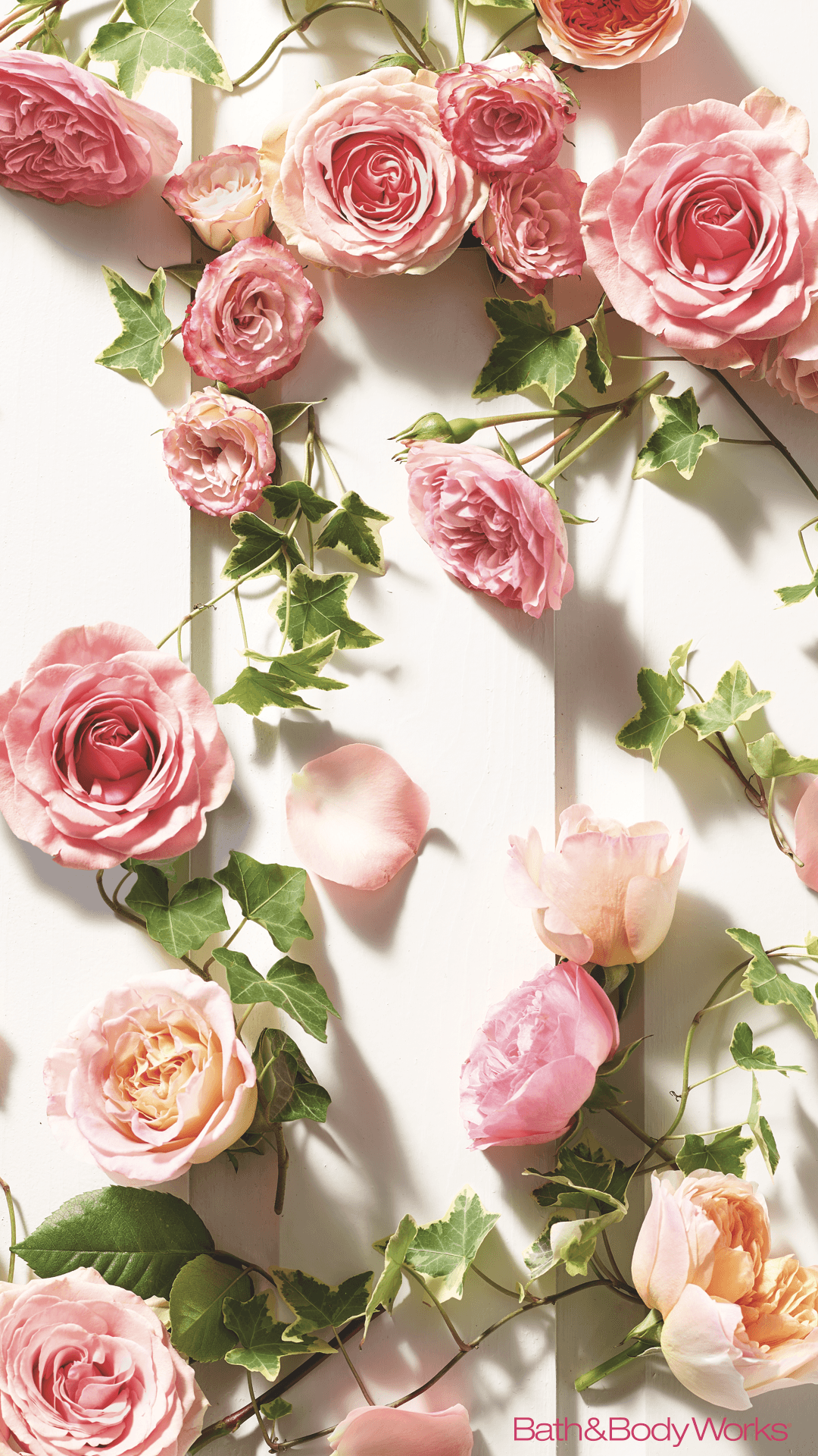 Pastel Roses Wallpapers