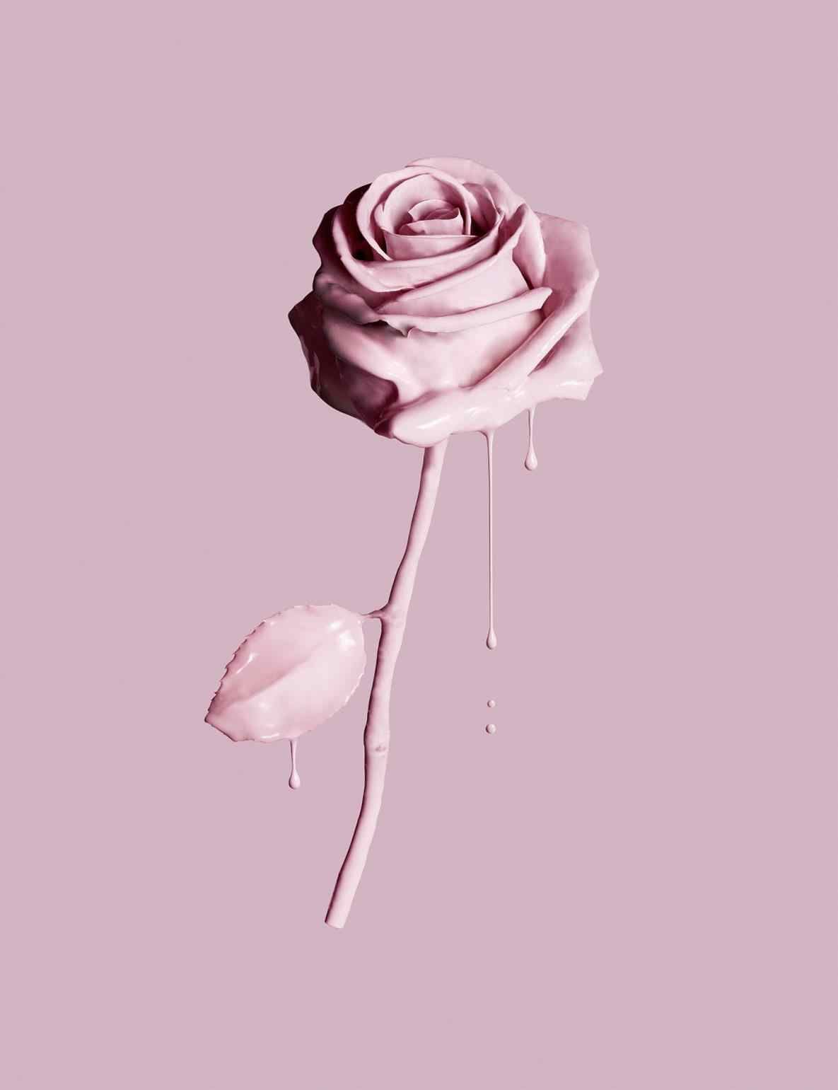 Pastel Roses Wallpapers