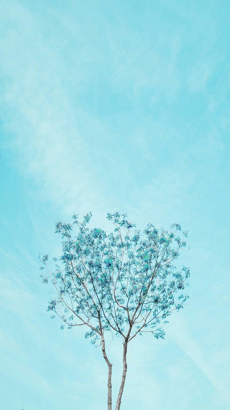 Pastel Vintage Blue Aesthetic Wallpapers