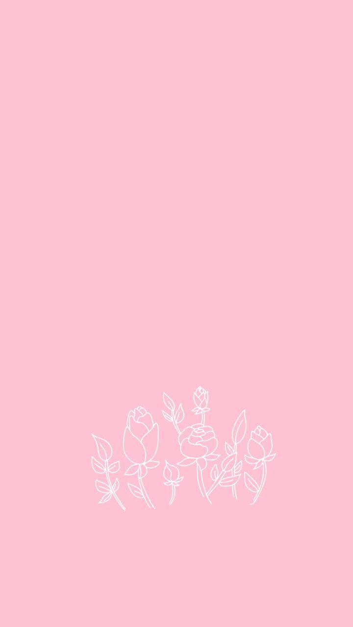 Pink Wallpapers