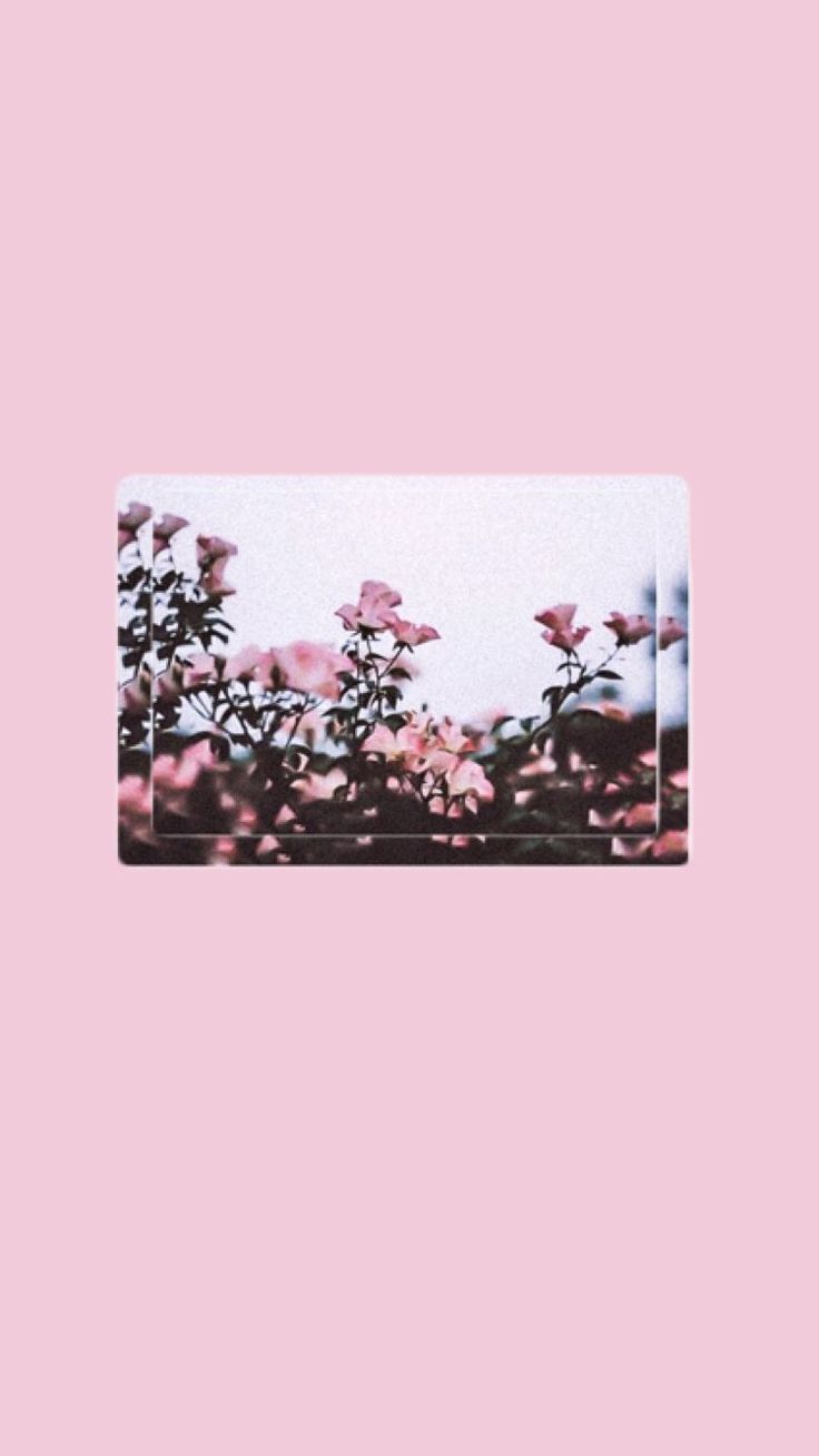 Pink Aesthetic Tumblr Wallpapers