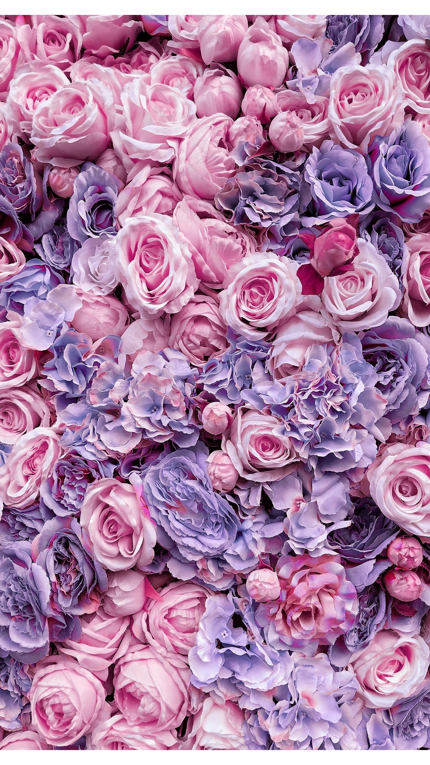 Pink And Purple Flower Wallpapers