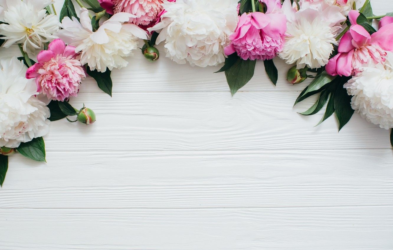 Pink And White Flowers Wallpapers