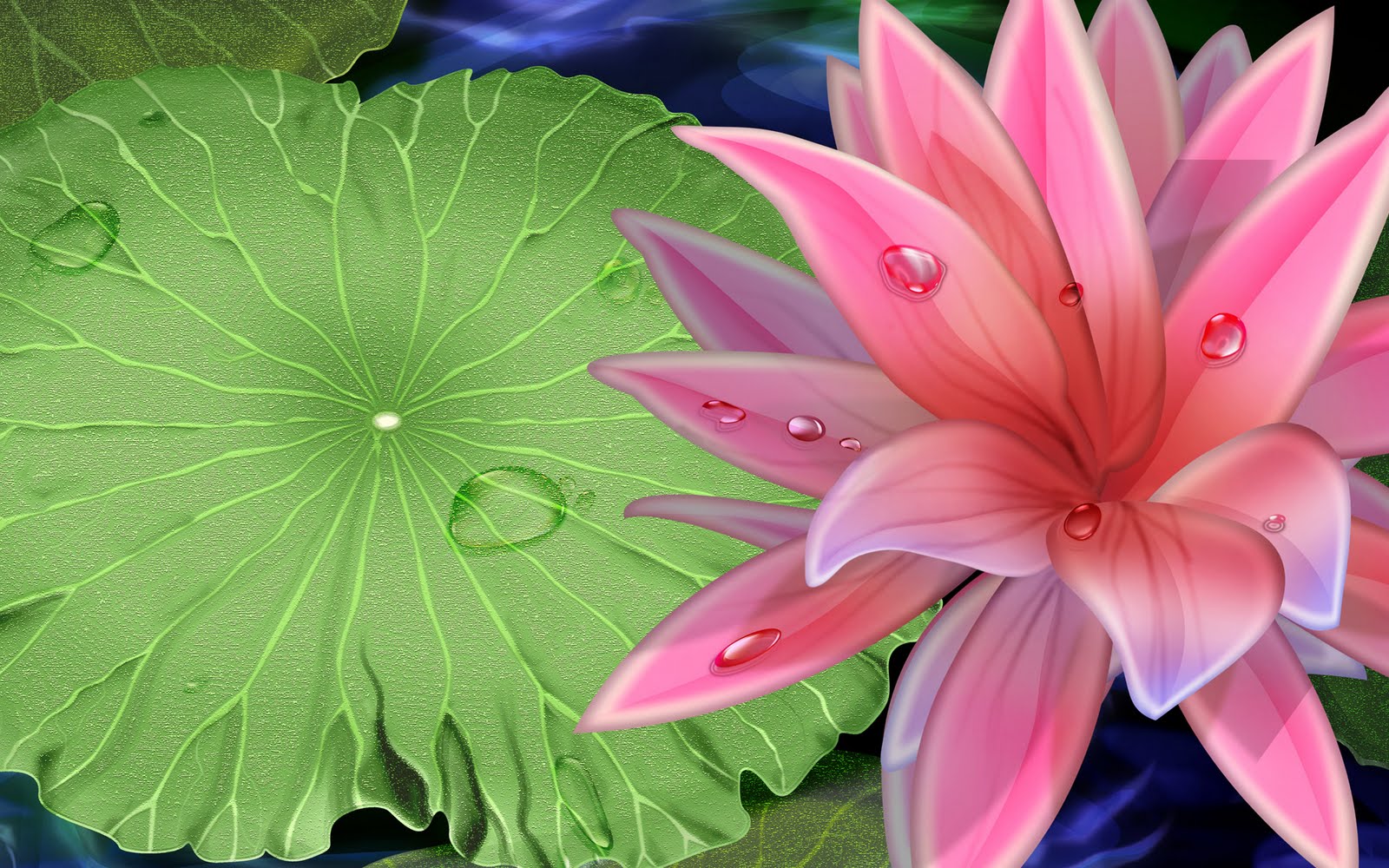 Pink And White Lilies Wallpapers