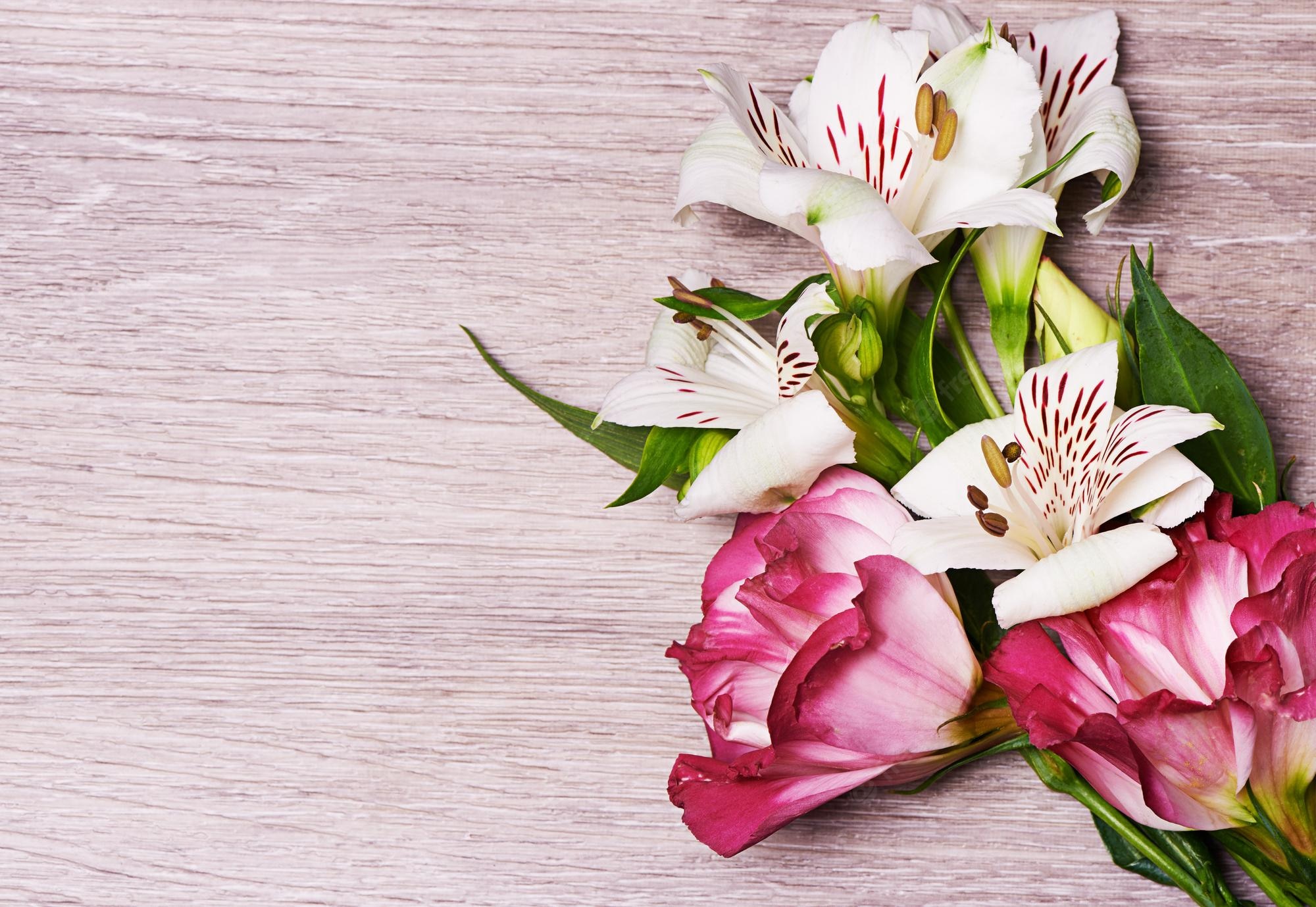 Pink And White Lilies Wallpapers