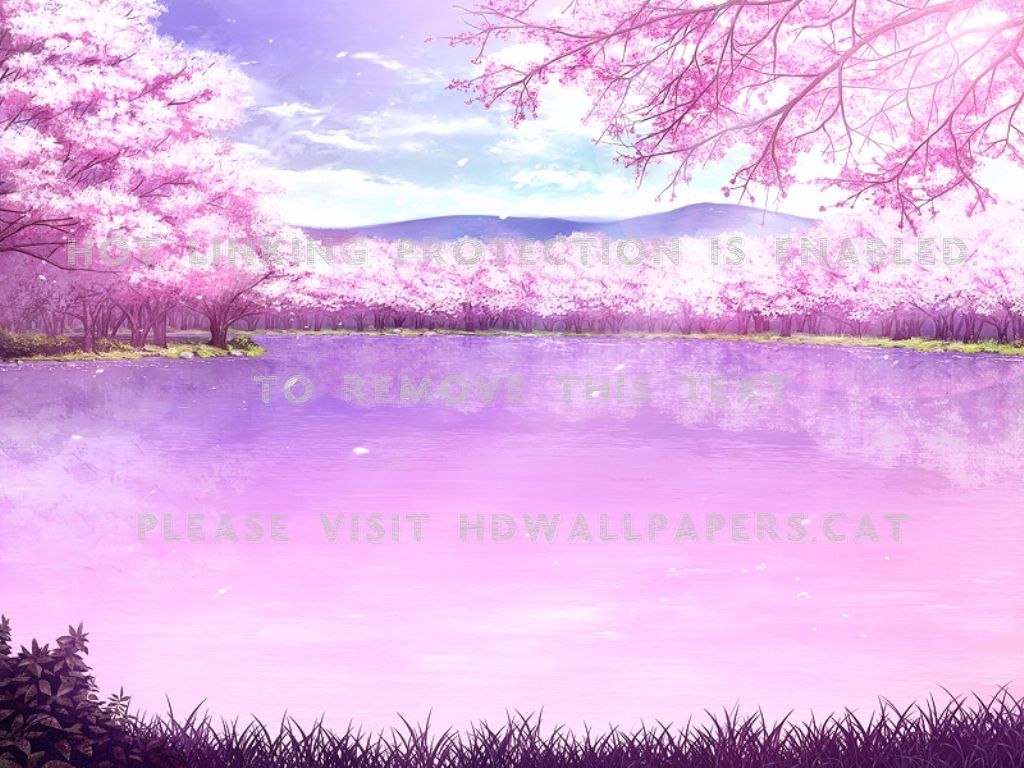 Pink Anime Scenery Wallpapers