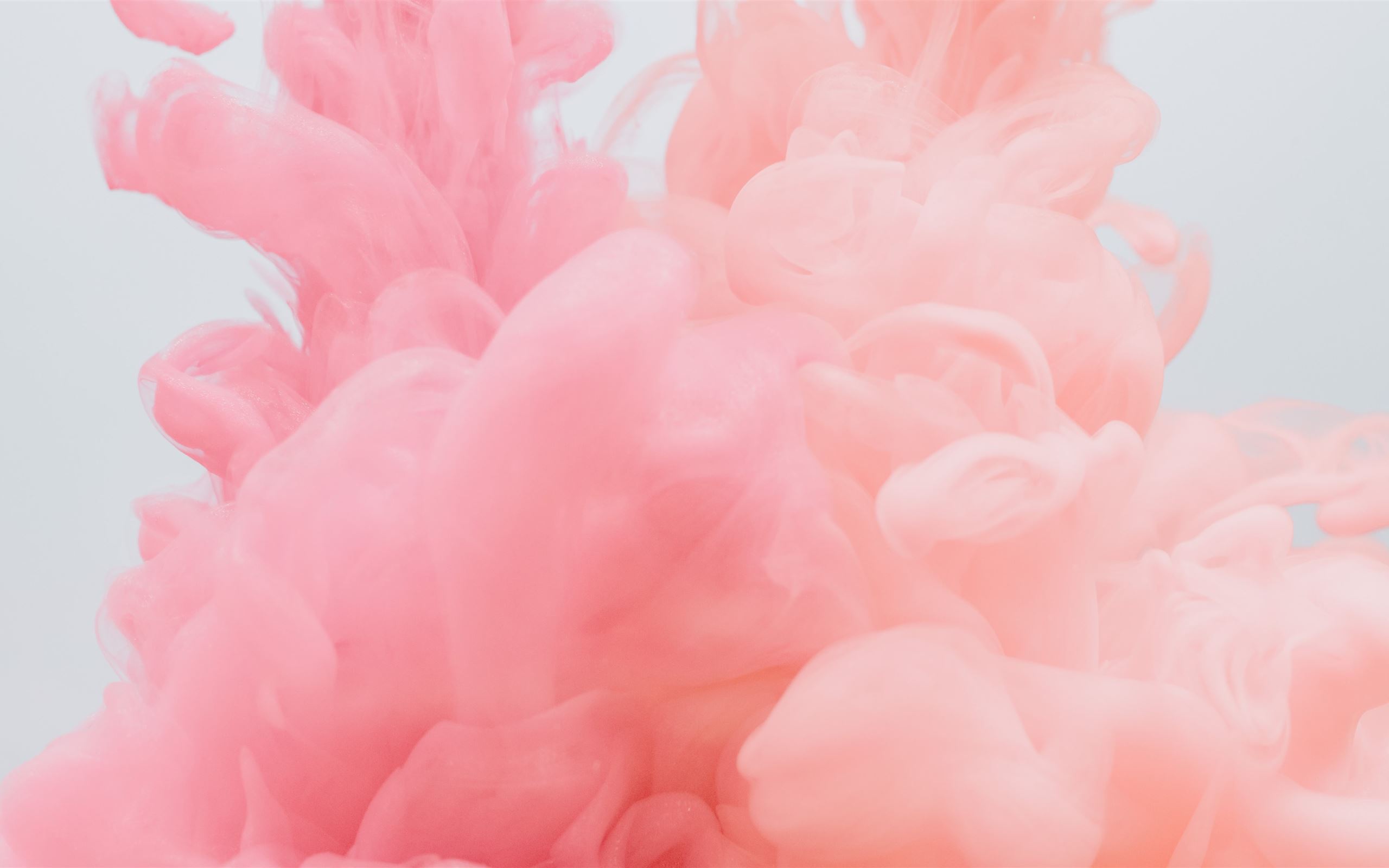 Pink Apple Wallpapers