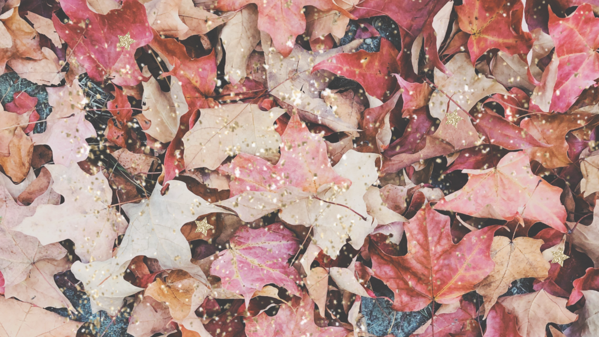 Pink Autumn Wallpapers