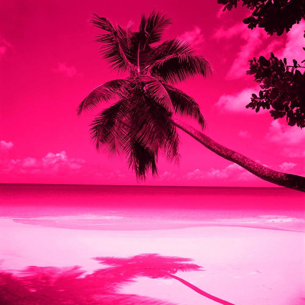 Pink Beach Wallpapers