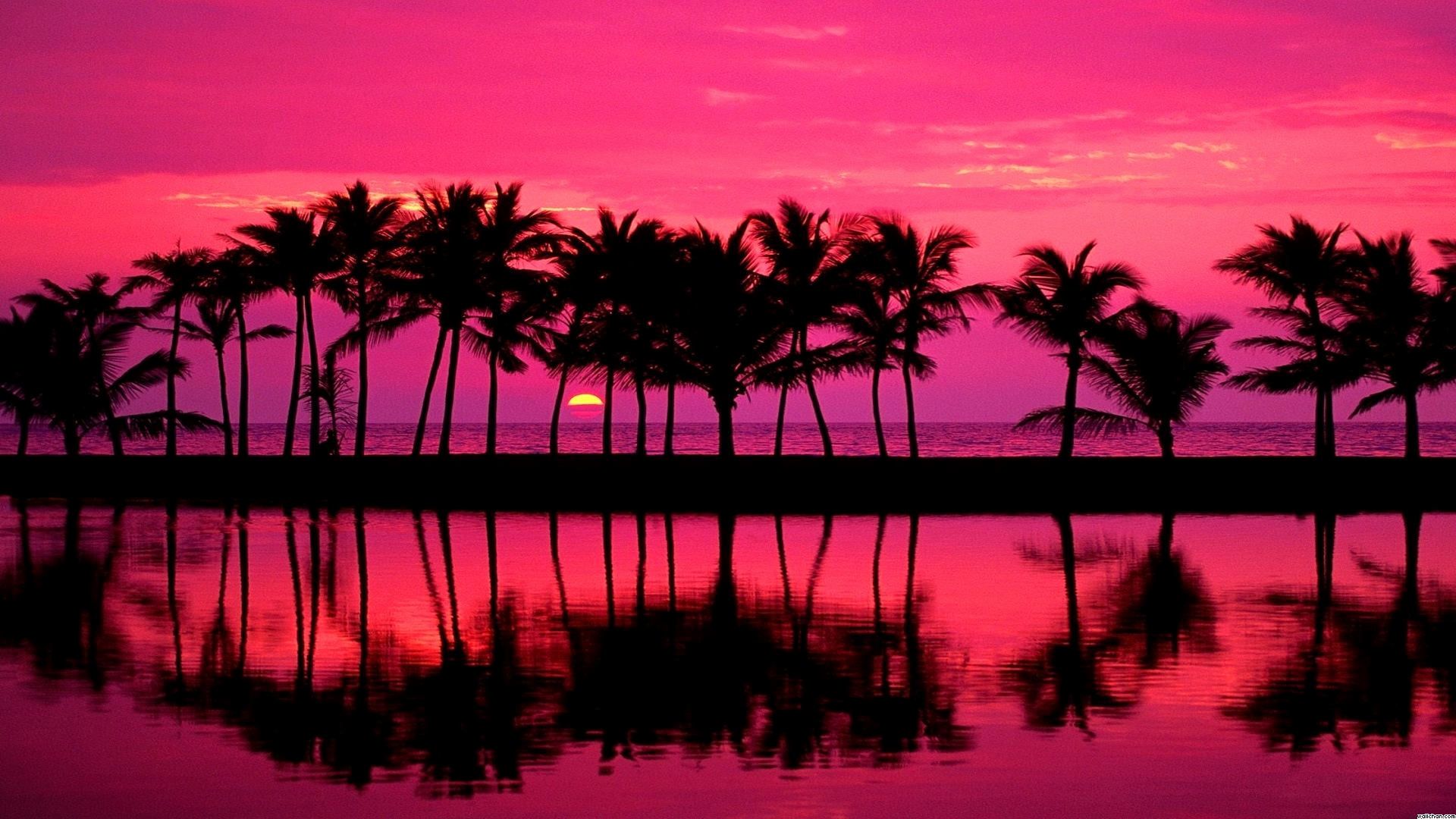 Pink Beach Sunset Wallpapers