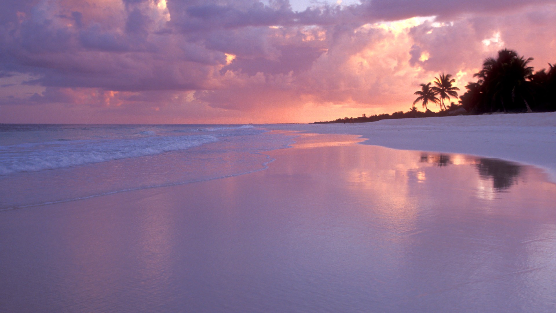 Pink Beach Sunset Wallpapers