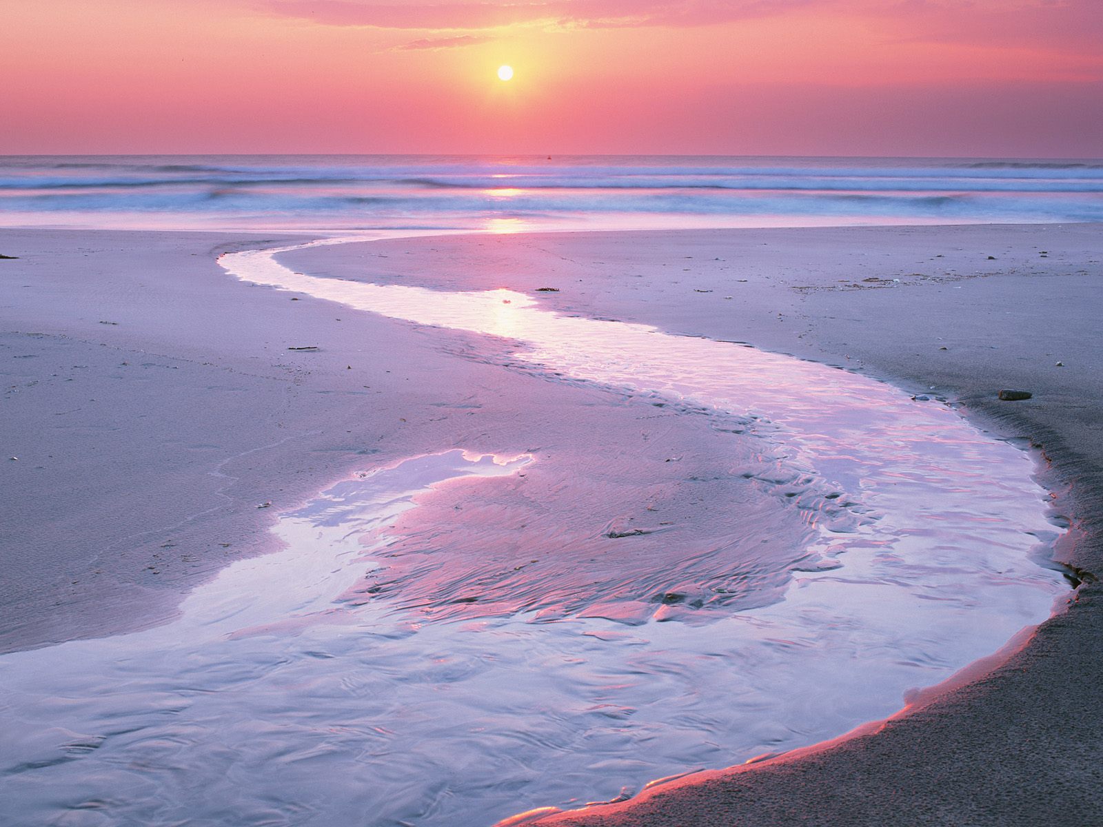 Pink Beach Sunset Wallpapers