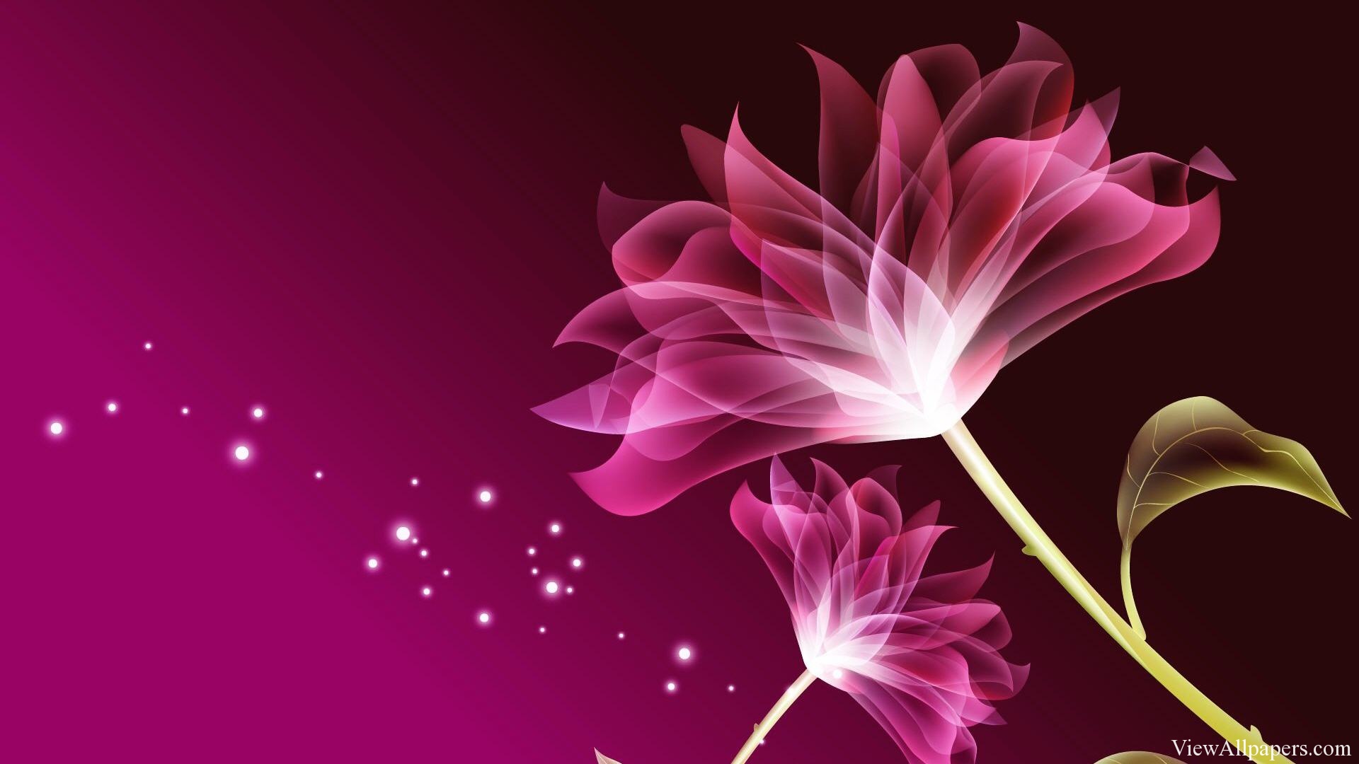 Pink Beauty Wallpapers