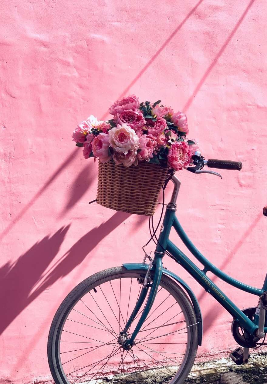 Pink Bike Wallpapers