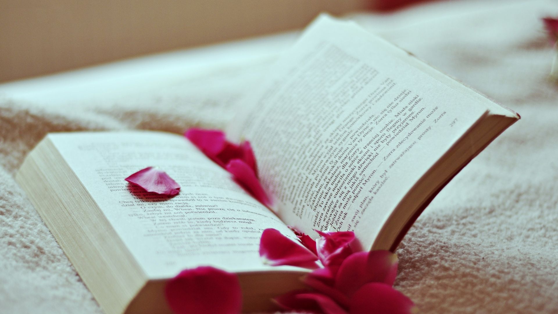 Pink Books Wallpapers