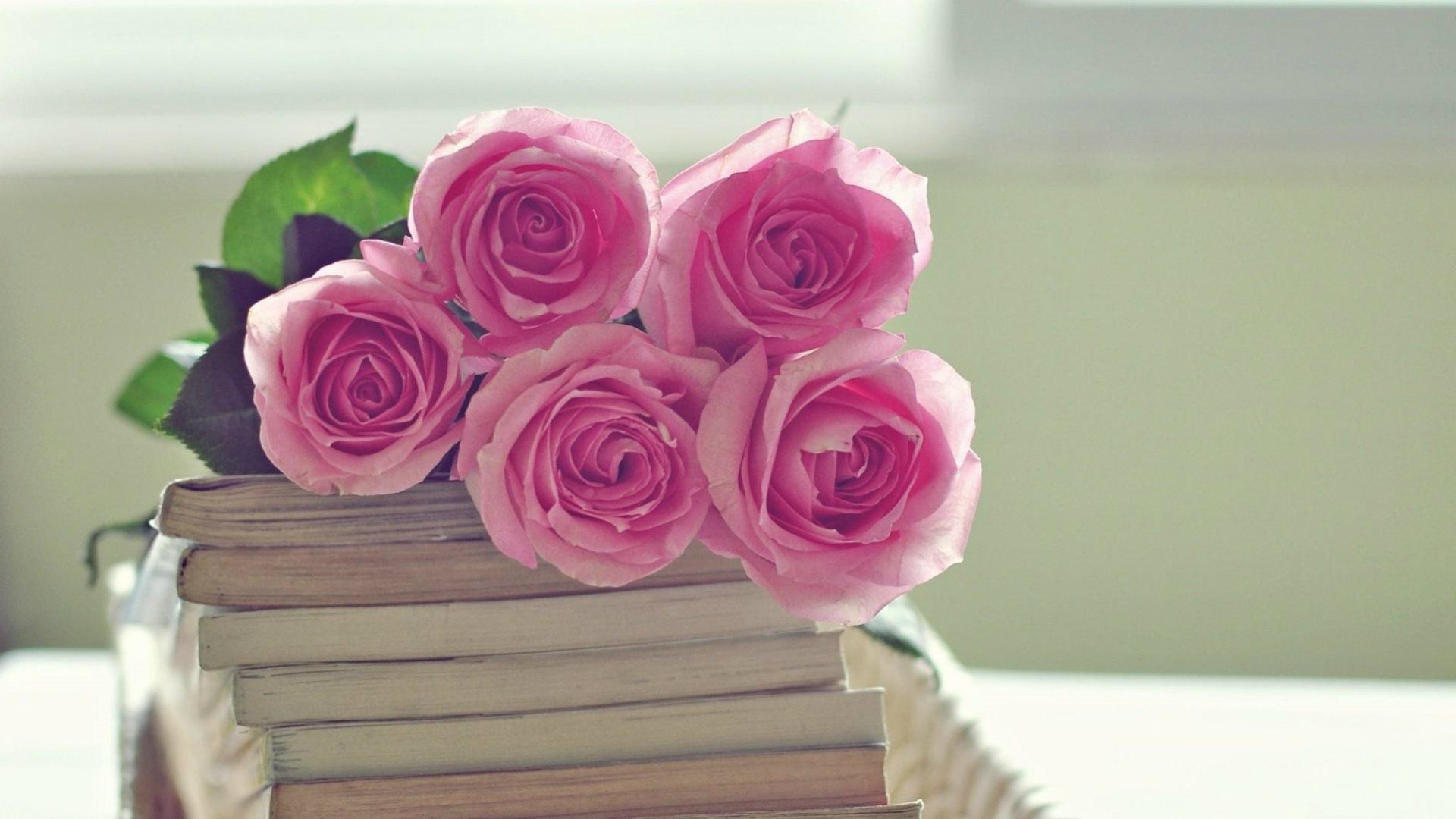 Pink Books Wallpapers