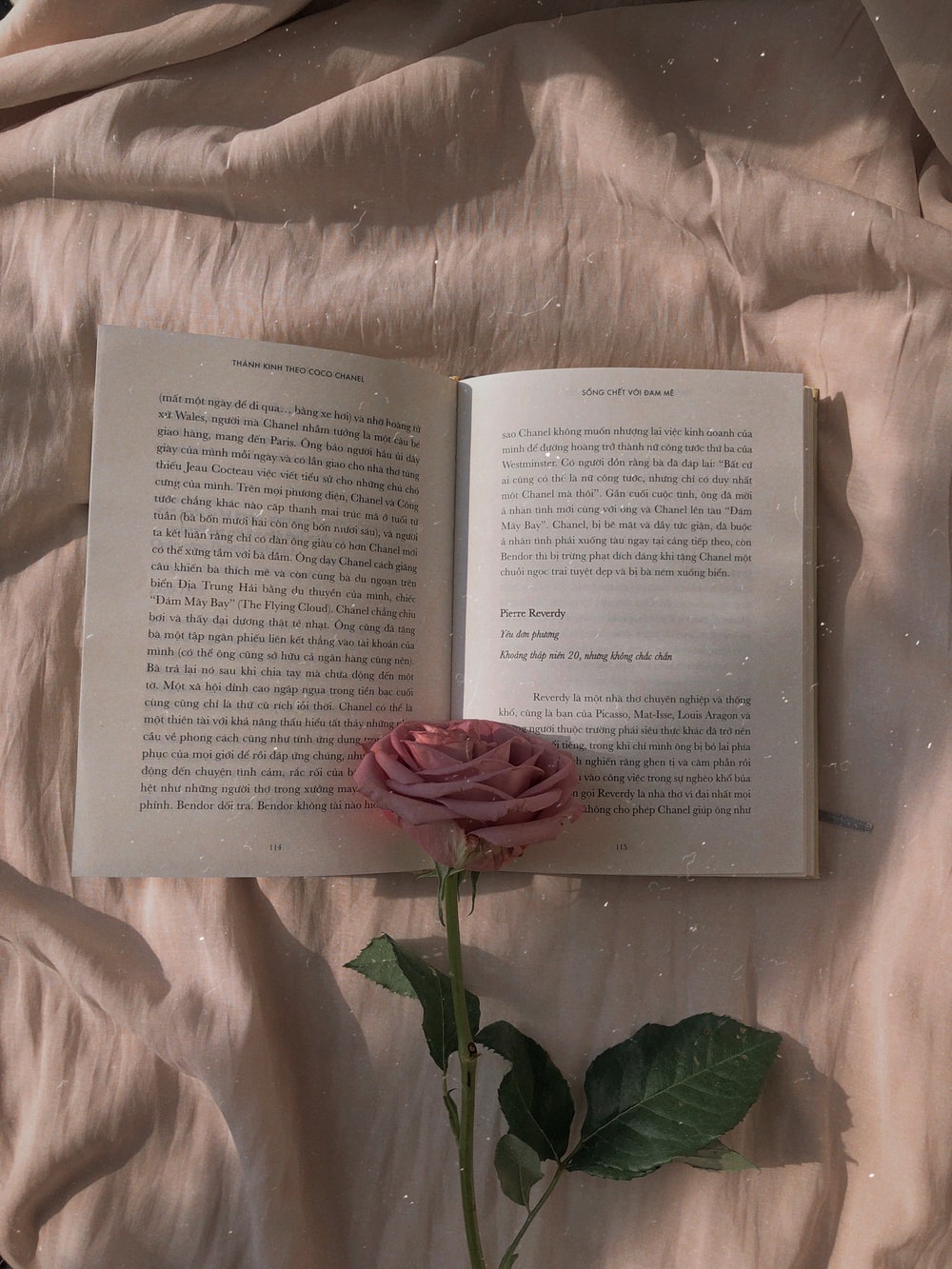 Pink Books Wallpapers