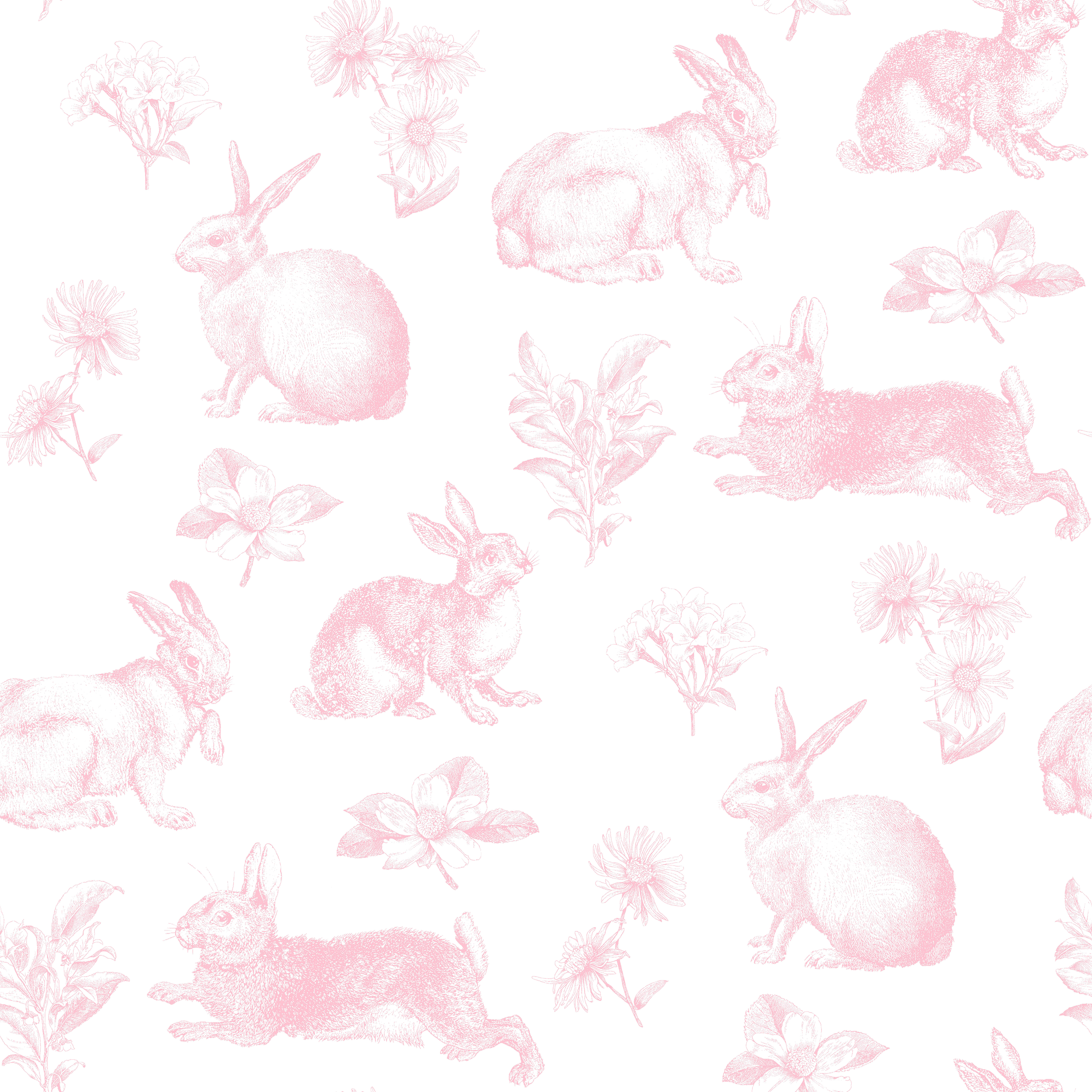 Pink Bunny Wallpapers