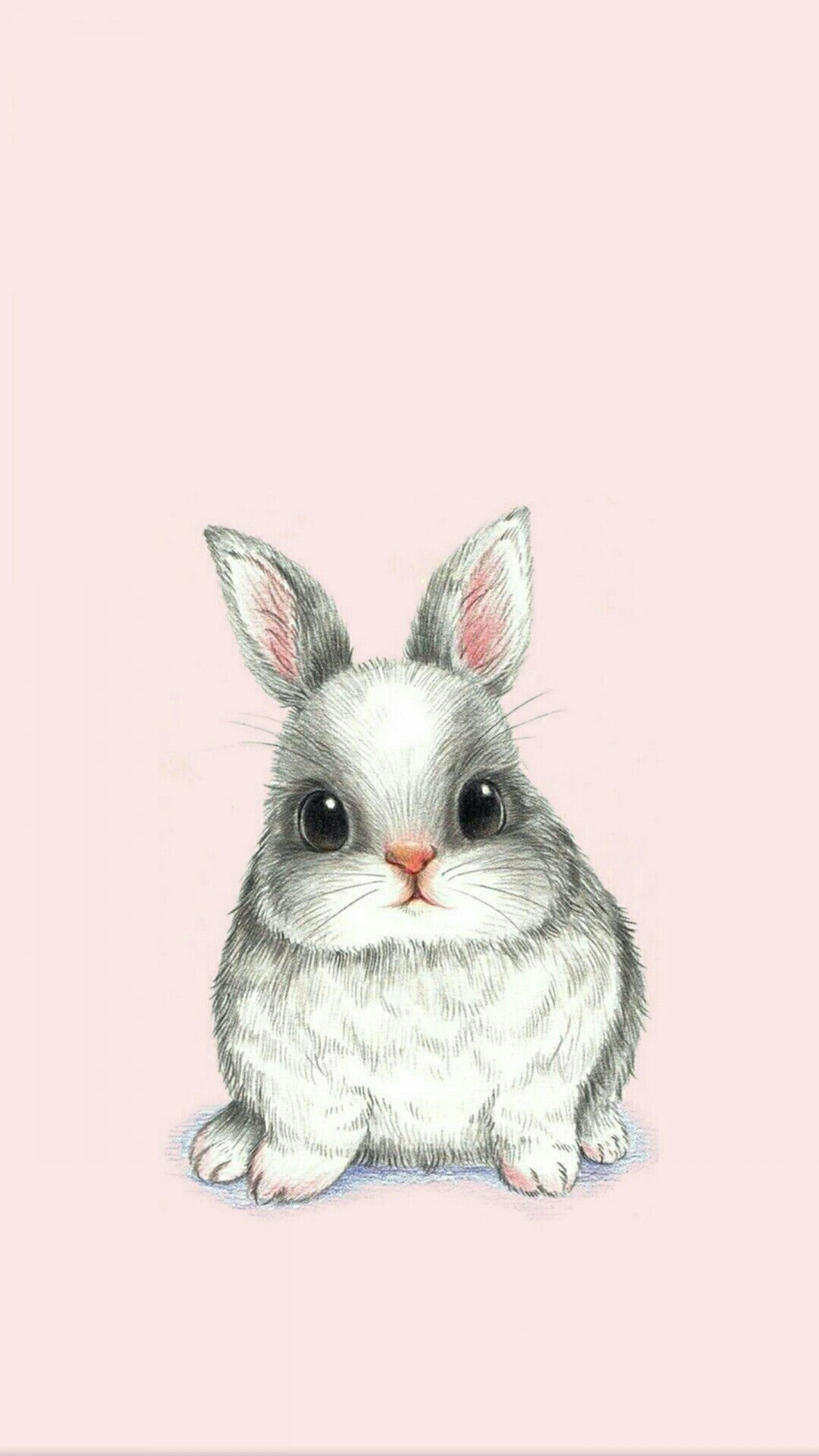 Pink Bunny Wallpapers