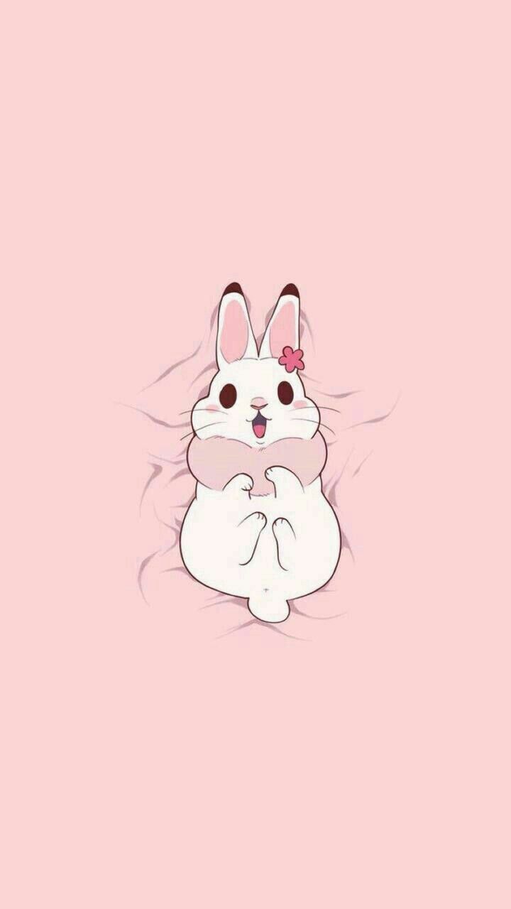 Pink Bunny Kawaii Rabbit Wallpapers