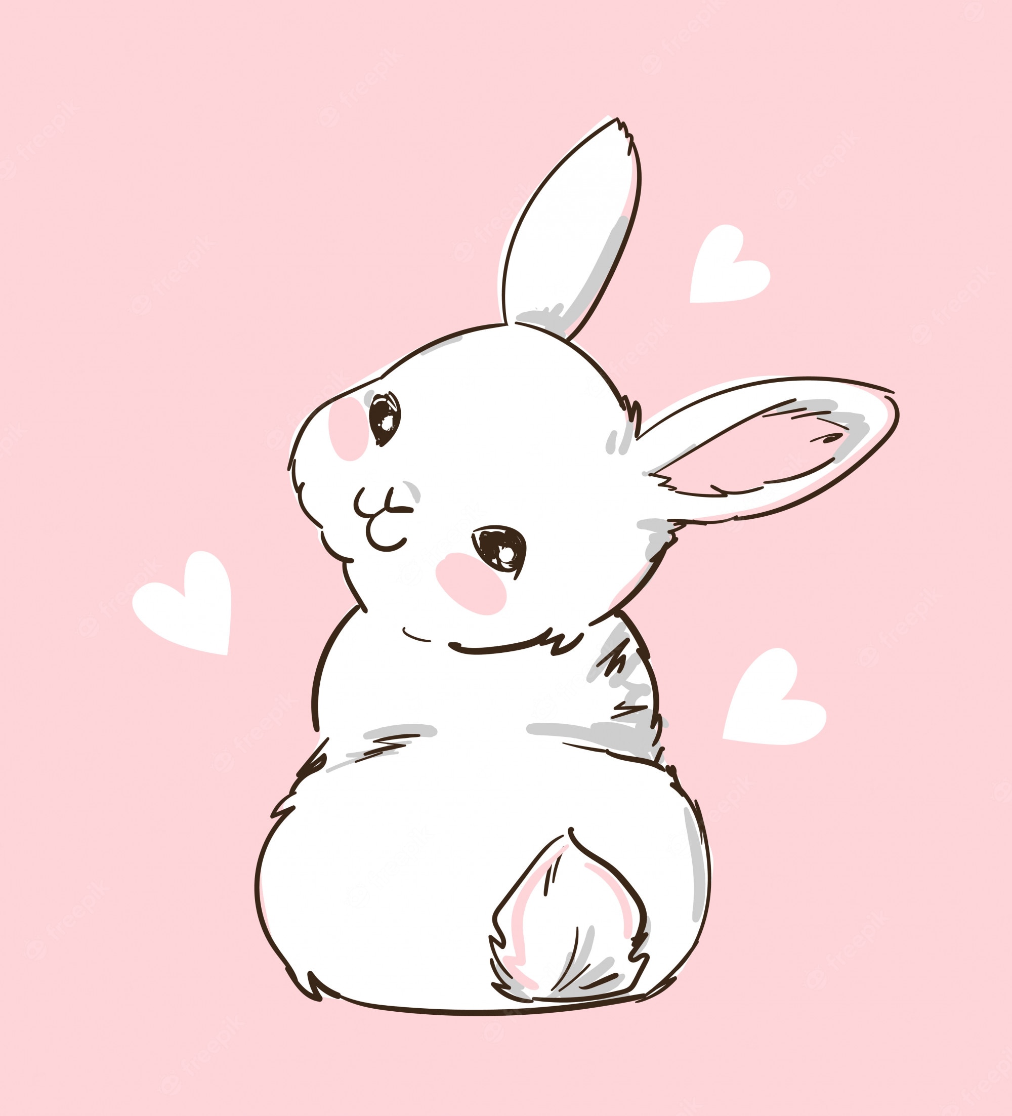 Pink Bunny Kawaii Rabbit Wallpapers