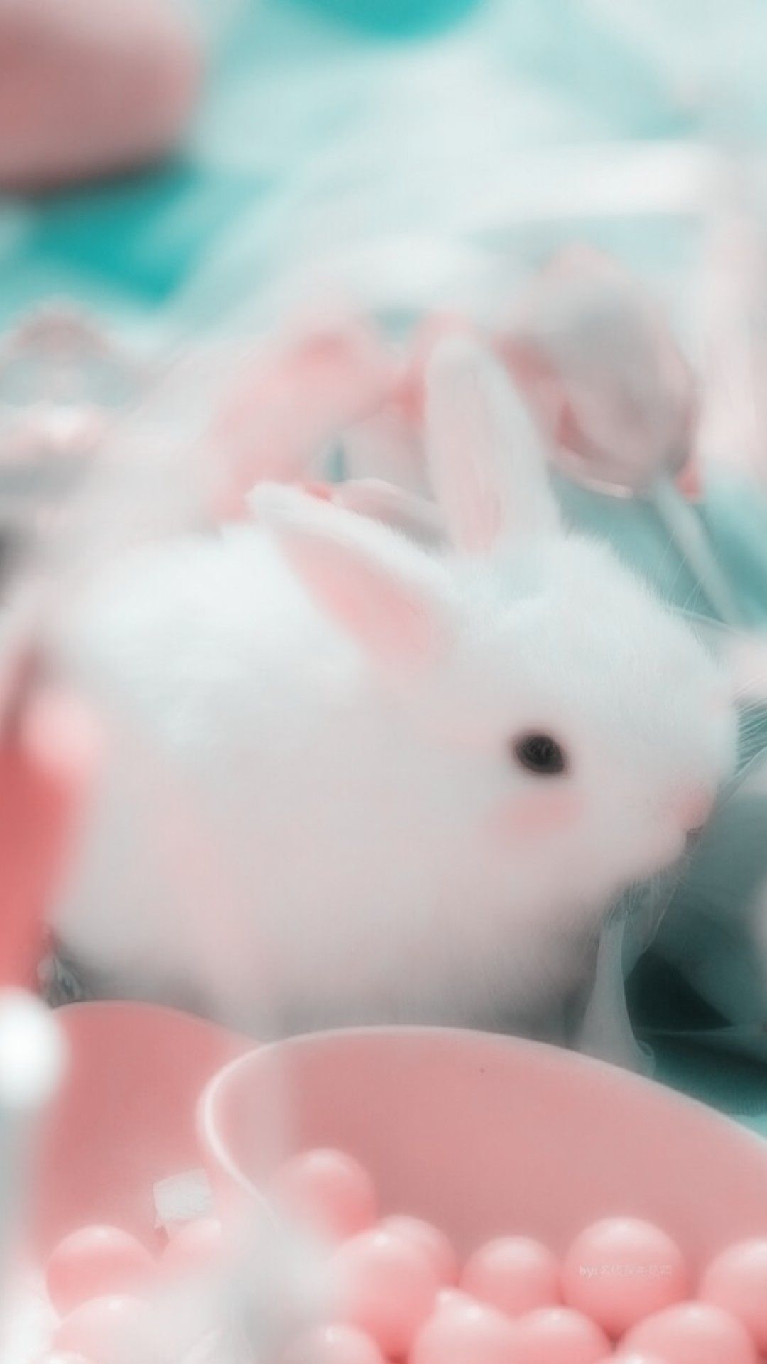 Pink Bunny Kawaii Rabbit Wallpapers