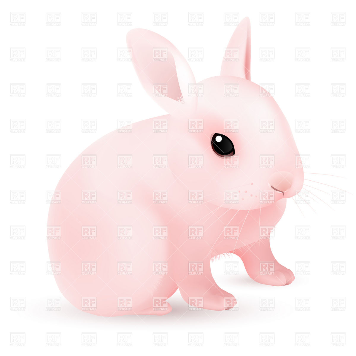 Pink Bunny Kawaii Rabbit Wallpapers