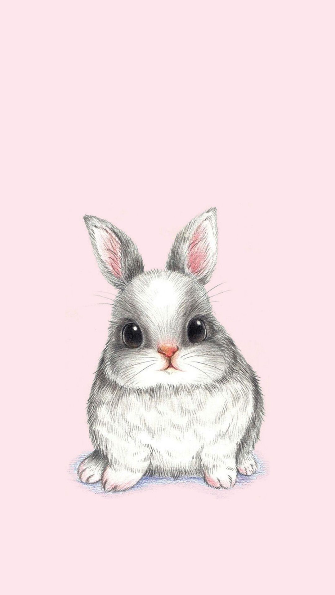 Pink Bunny Kawaii Rabbit Wallpapers