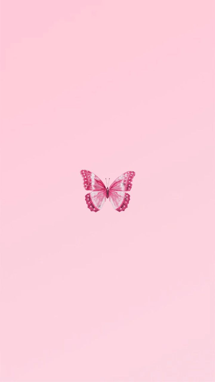 Pink Butterfly Wallpapers