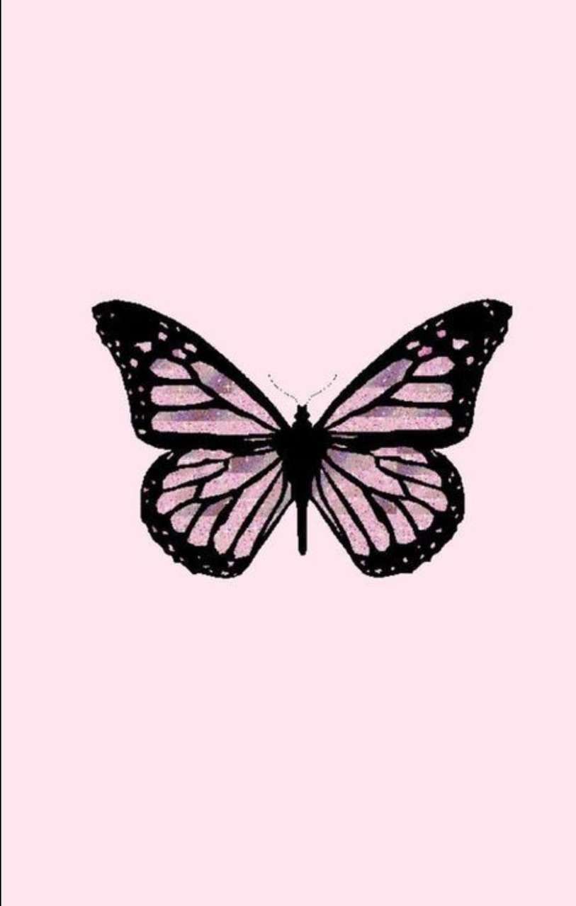 Pink Butterfly Aesthetic Wallpapers