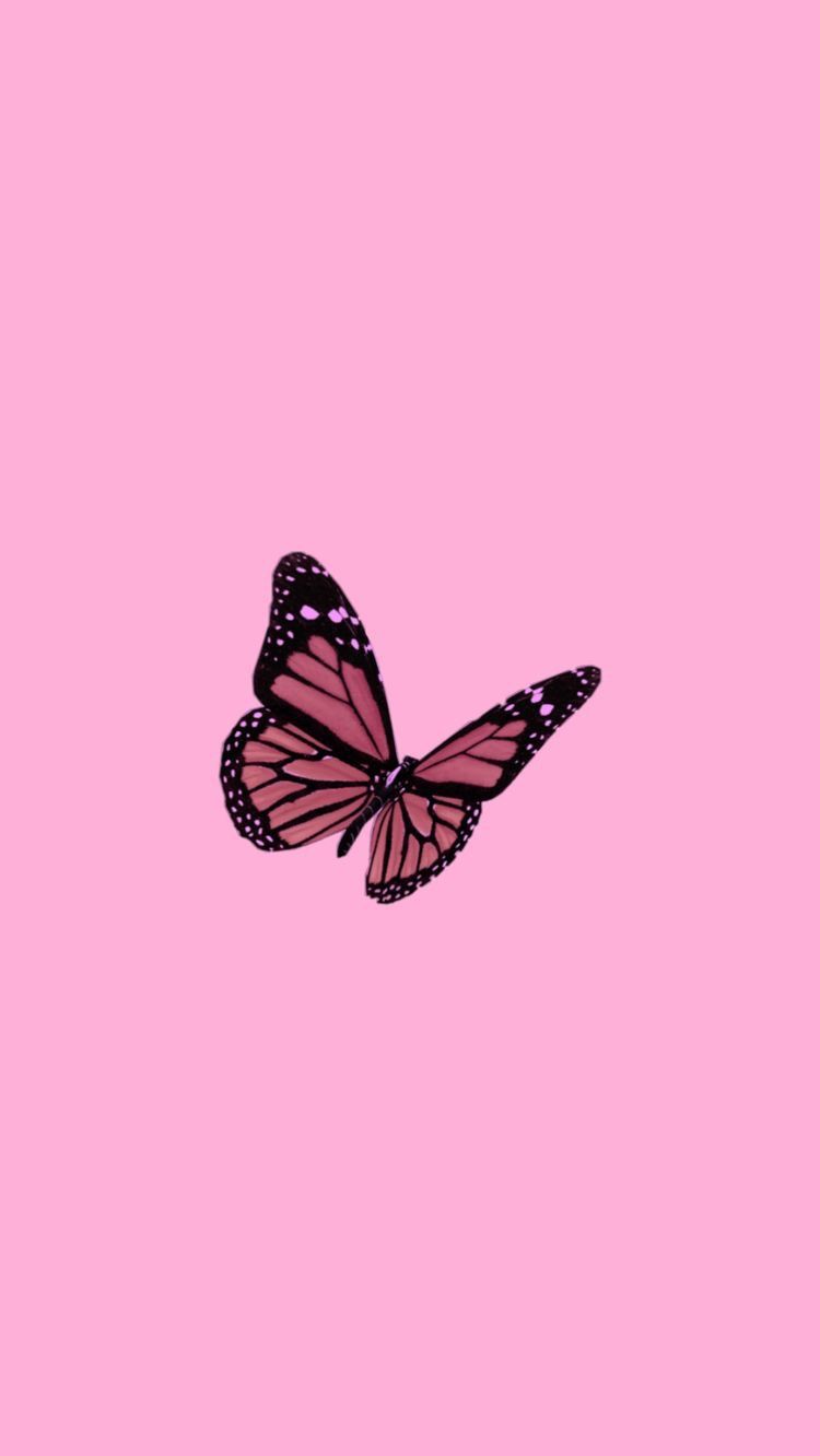 Pink Butterfly Phone Wallpapers