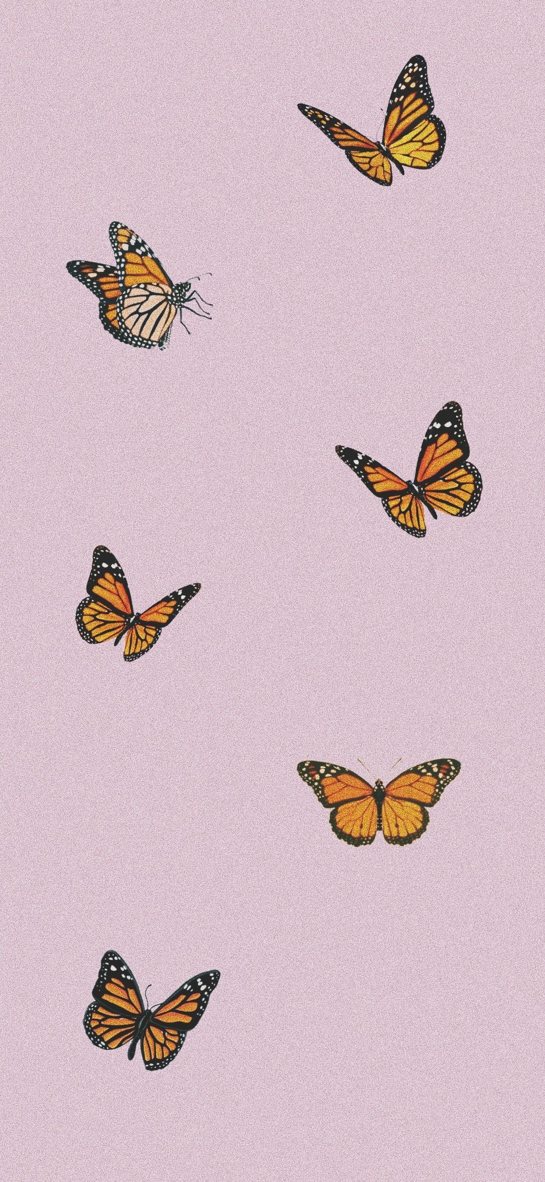 Pink Butterfly Phone Wallpapers